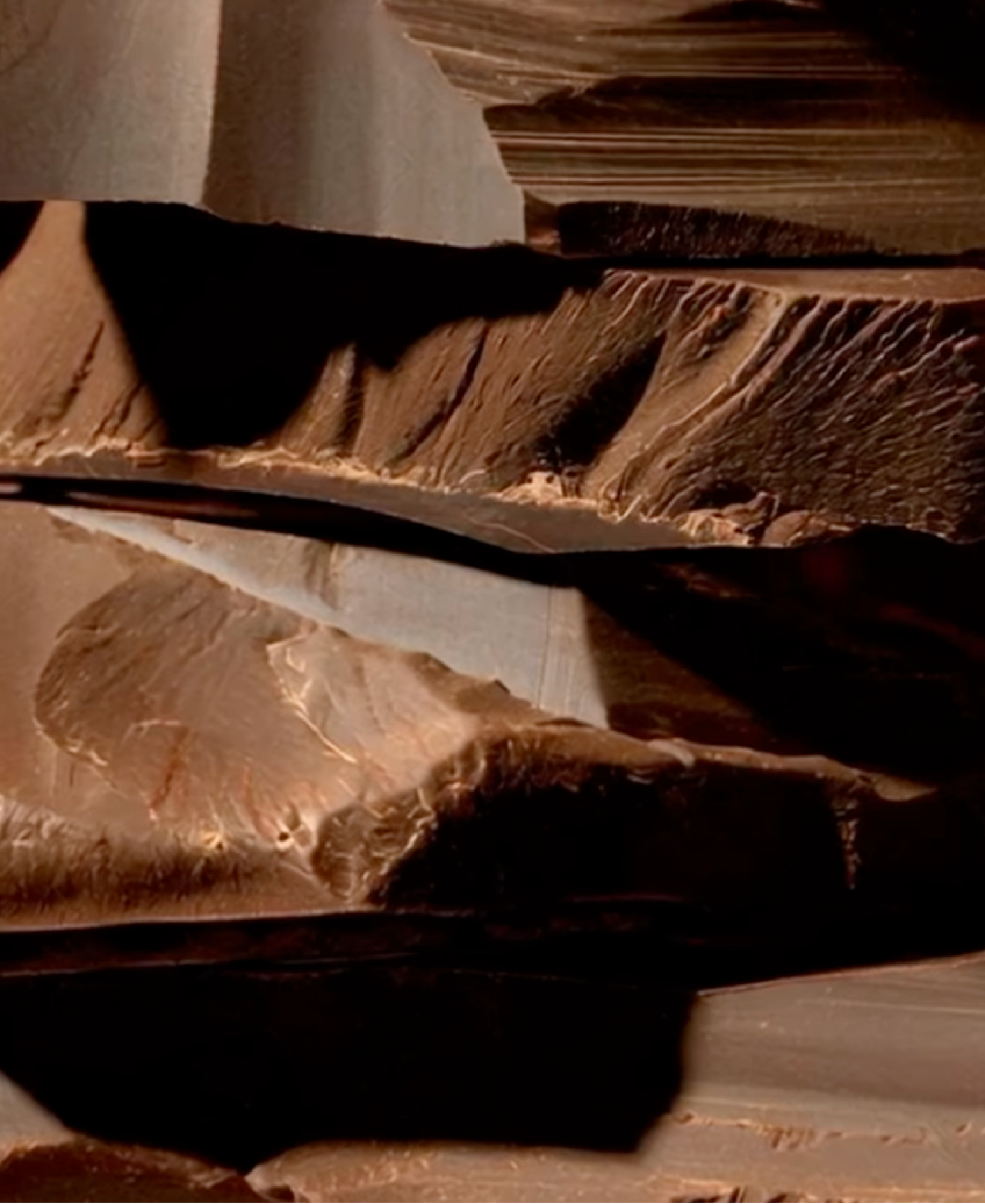 Newest Product Launch: Barry Callebaut Chocolate