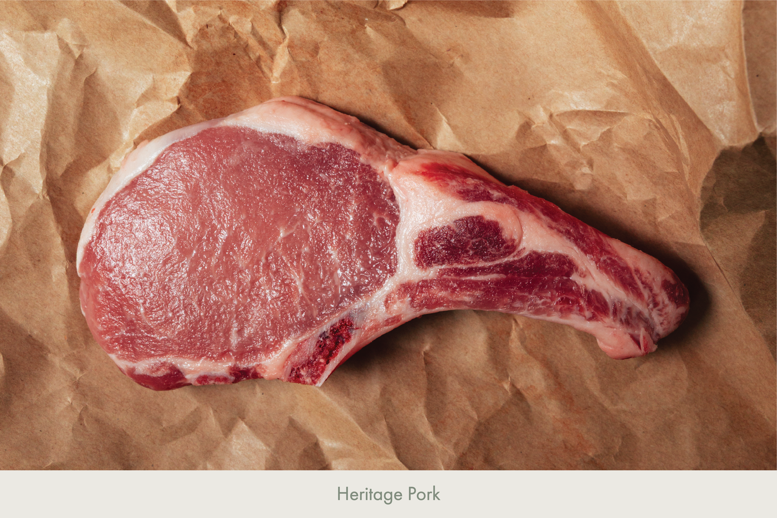 Cover Images-06.png