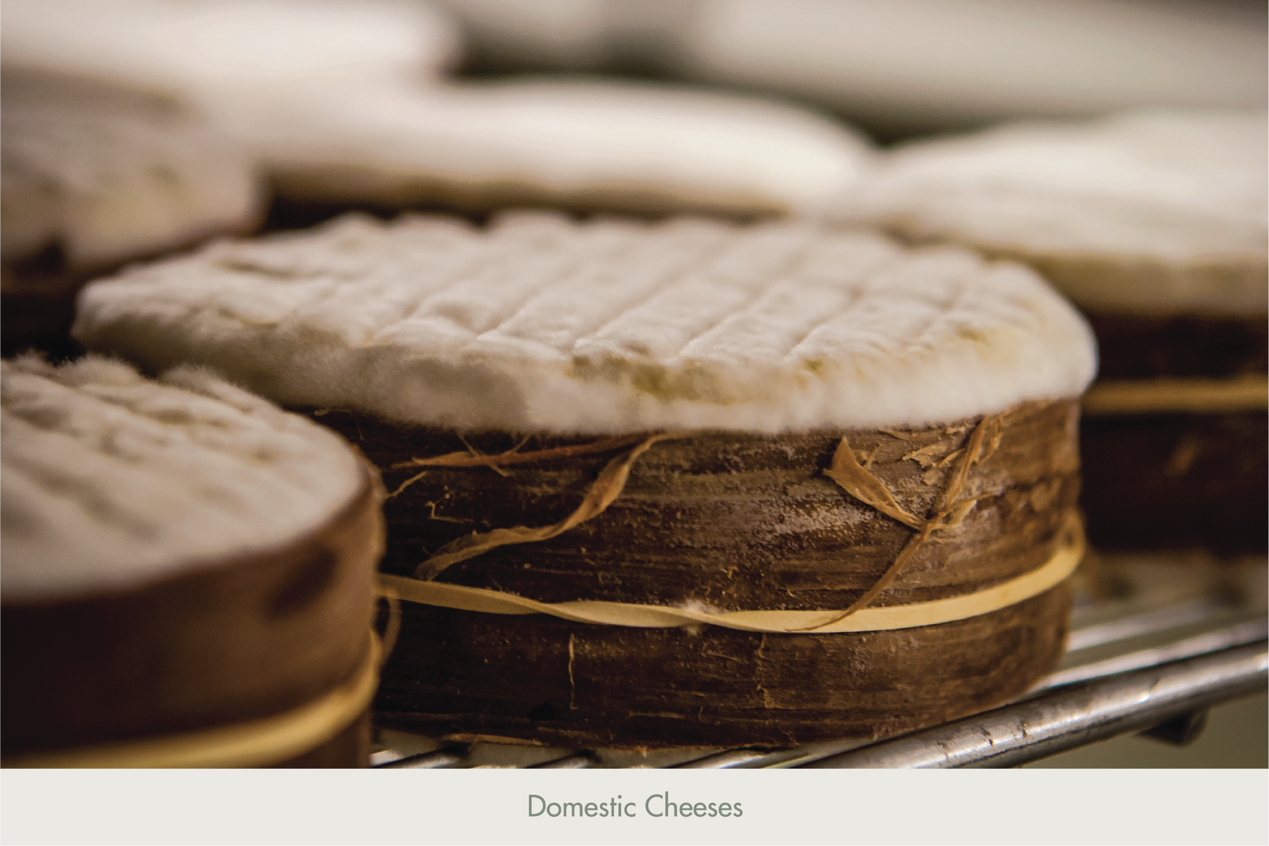 Cover Images-09.png