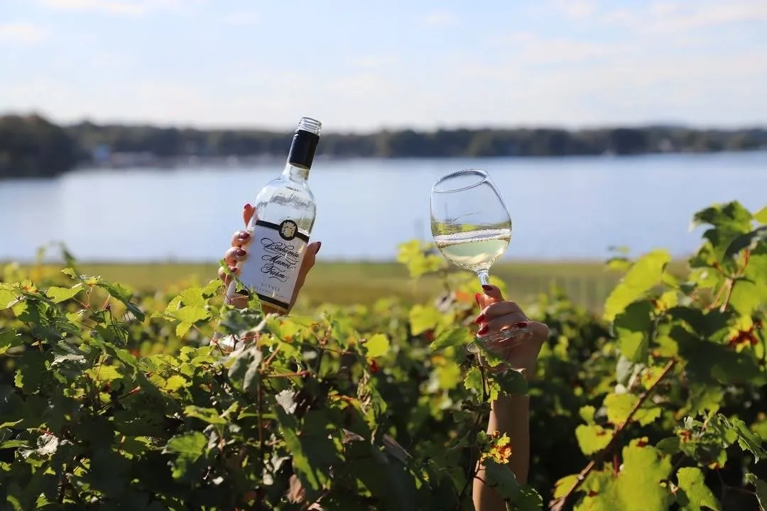 Person holding a bohemian wine bottle and a glass of white wine in a vineyard near a large body of water.