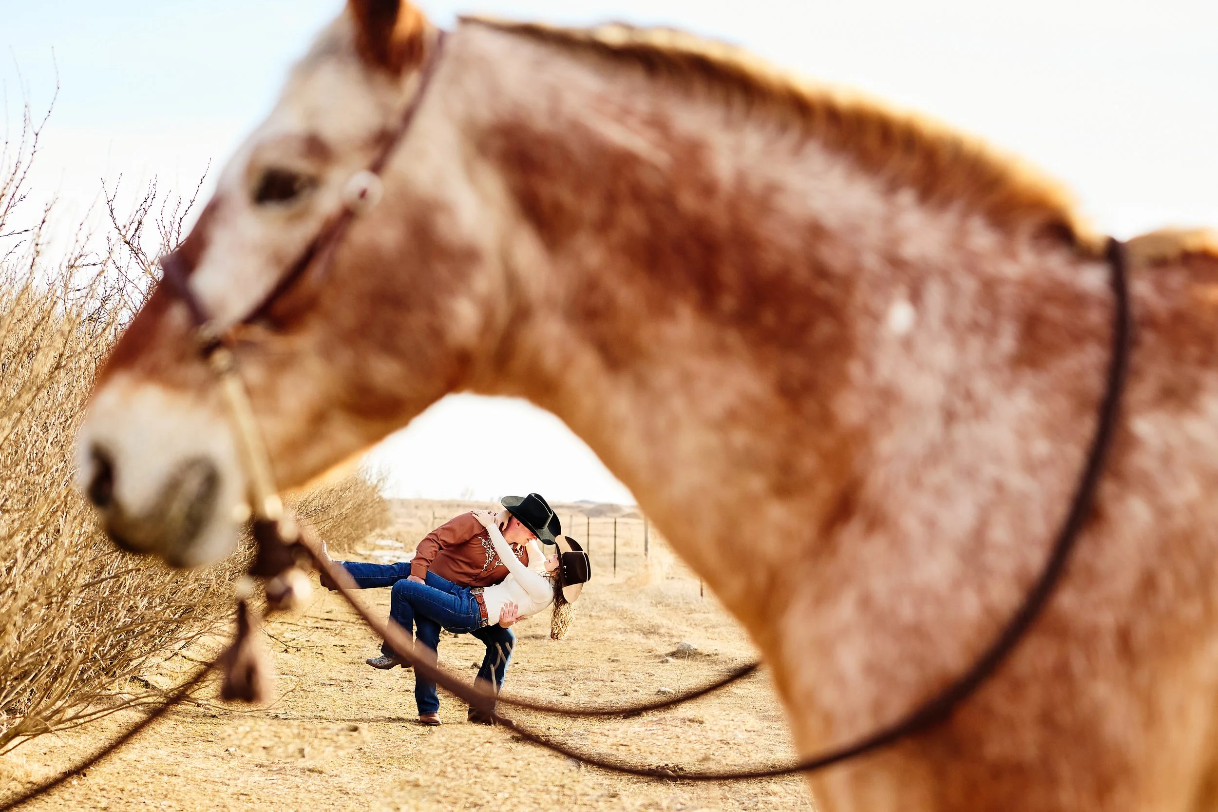 A horse in the foreground and a couple dancing together in the background in an outdoor setting.