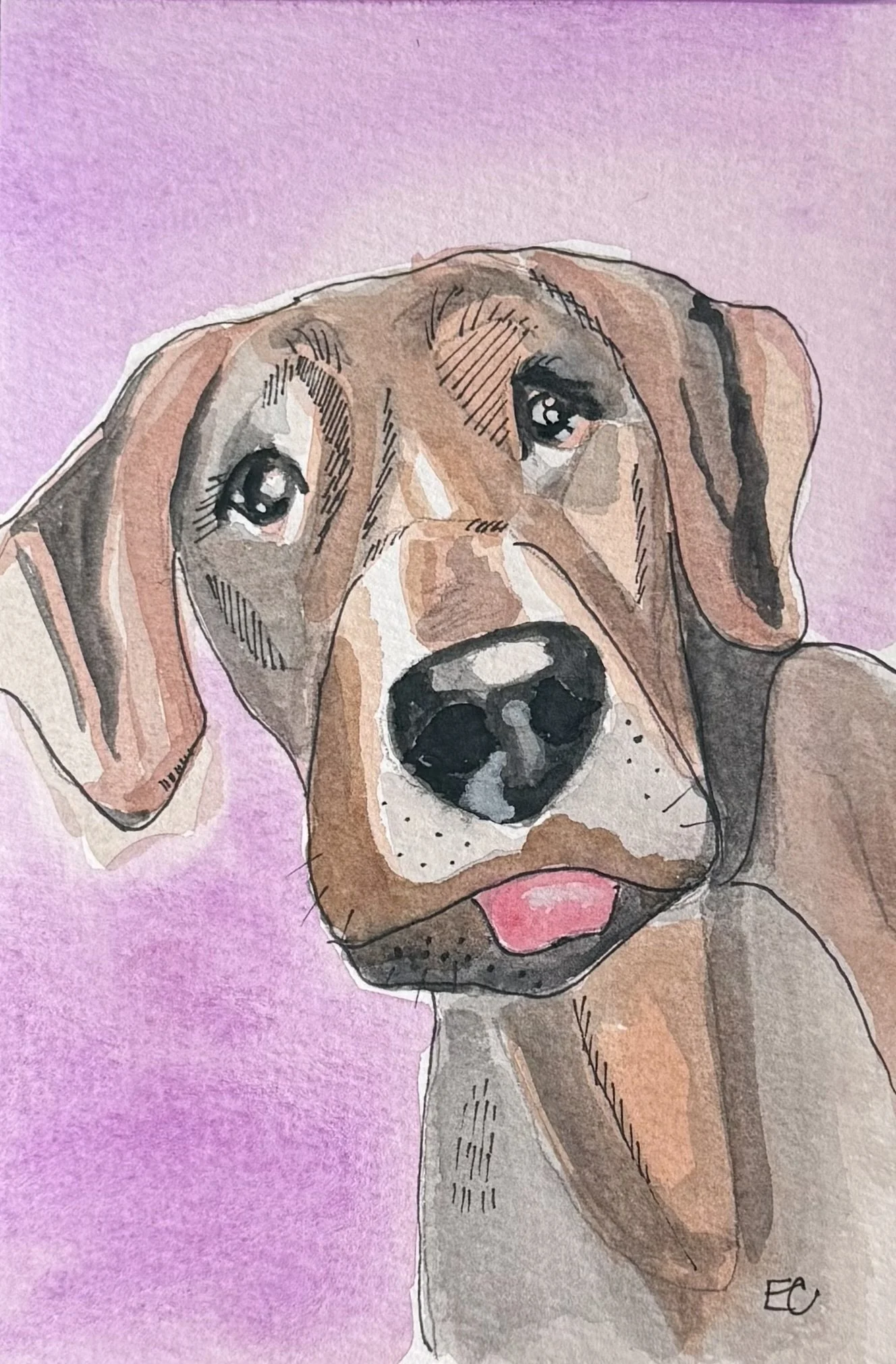 Pet Portraits 8x8