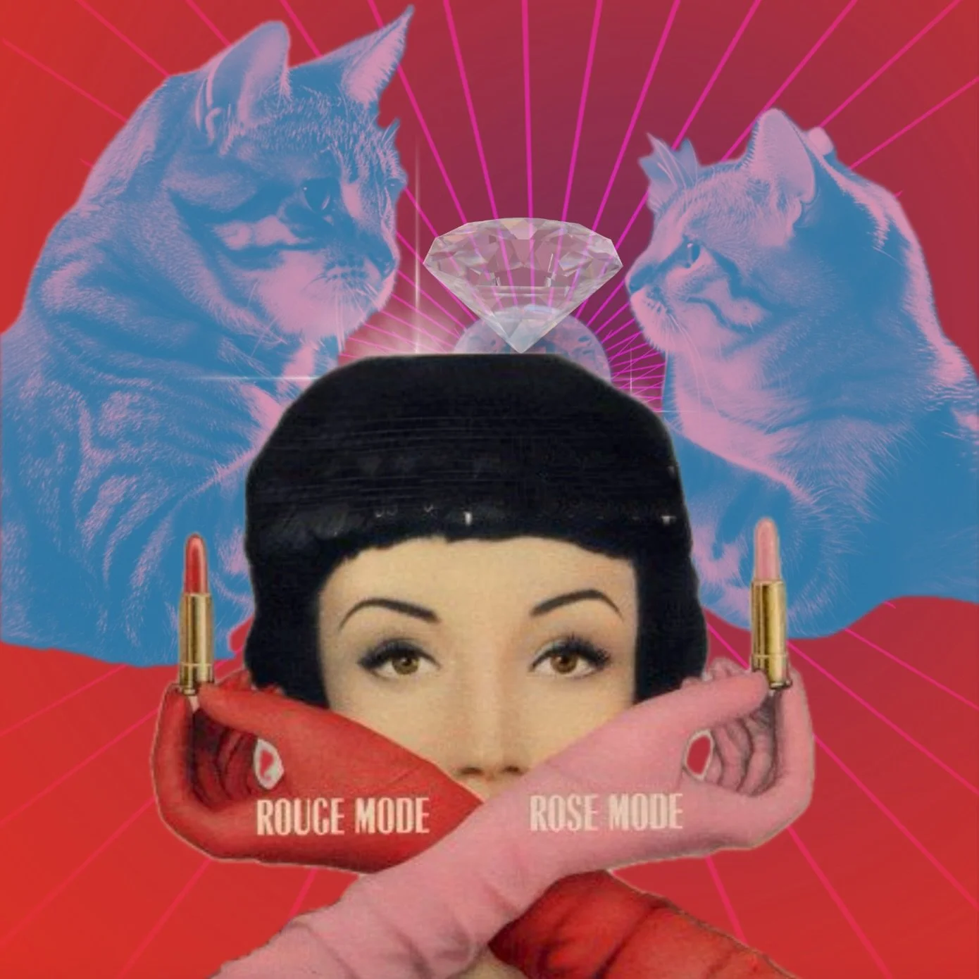 Pretty Cats – Sarah Mason & Michelle King