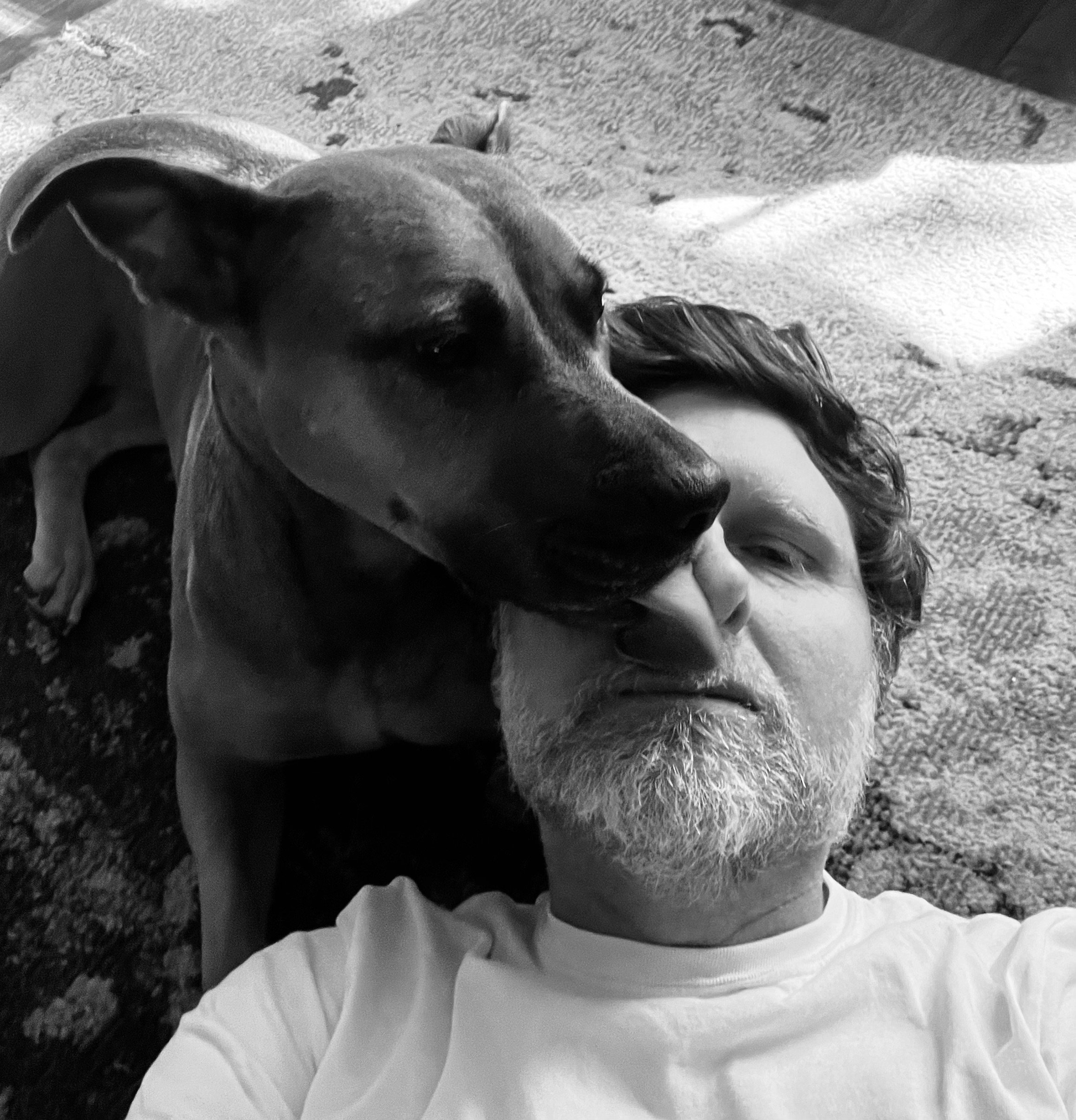 Strange Brew — deciBok