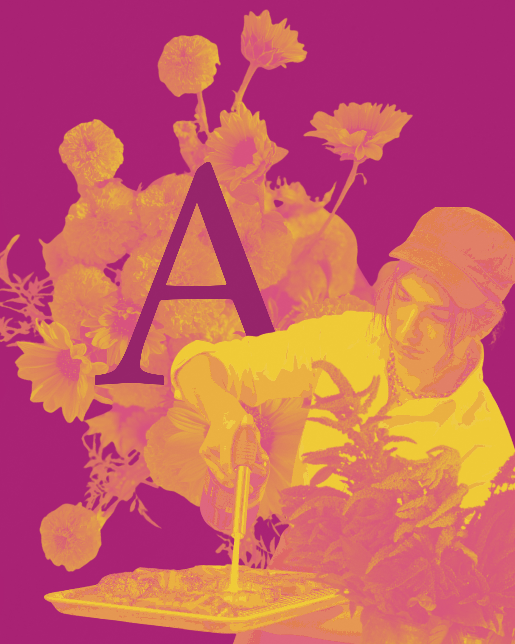 ¡Alegria! i — Chef  Simón Suarez Páramo