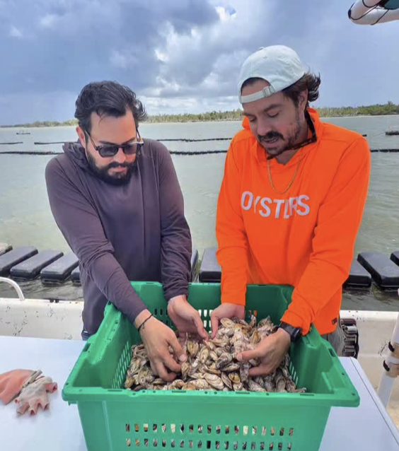 Everglades  Oyster Takeover