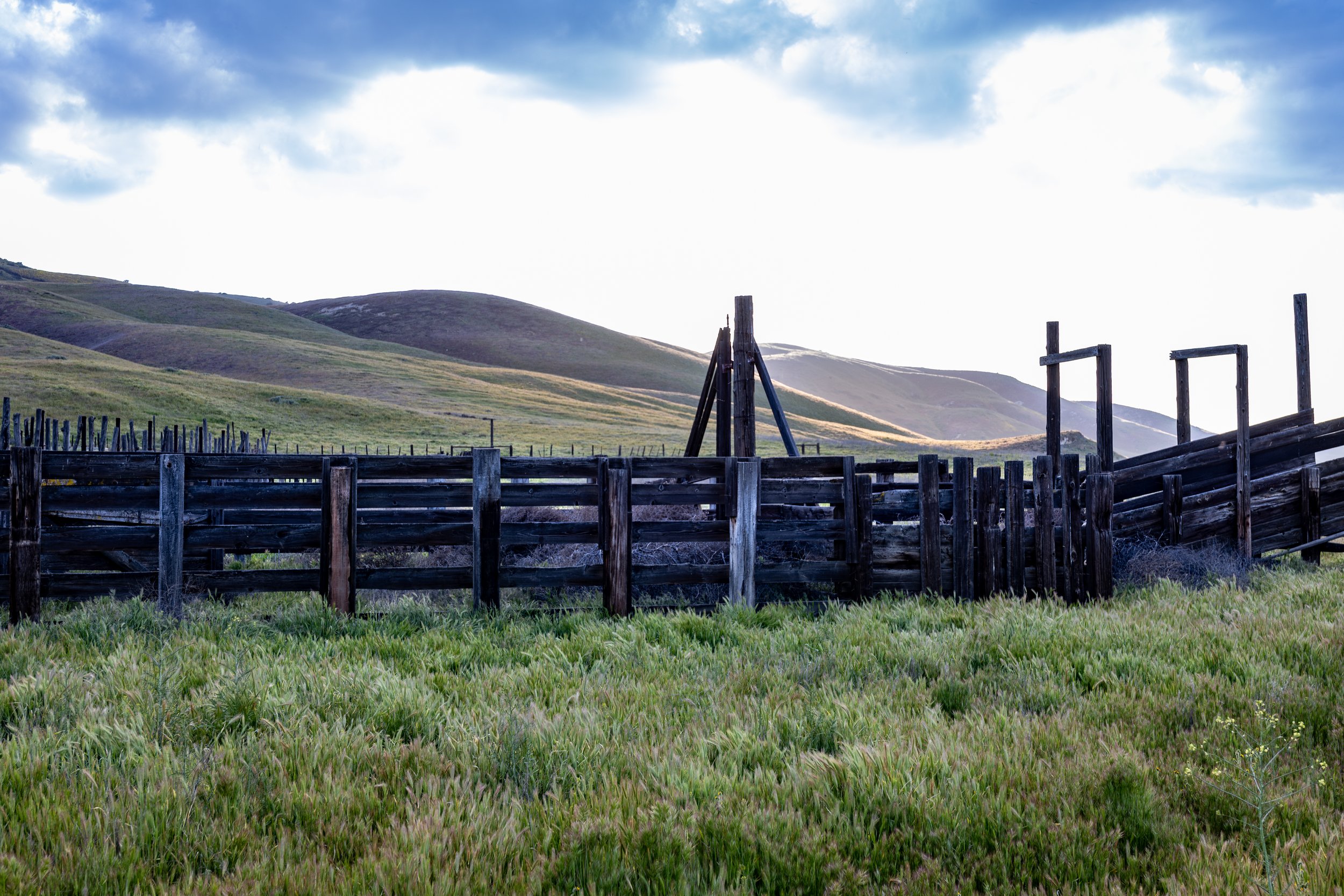H67A1429-Enhanced-NR.jpg