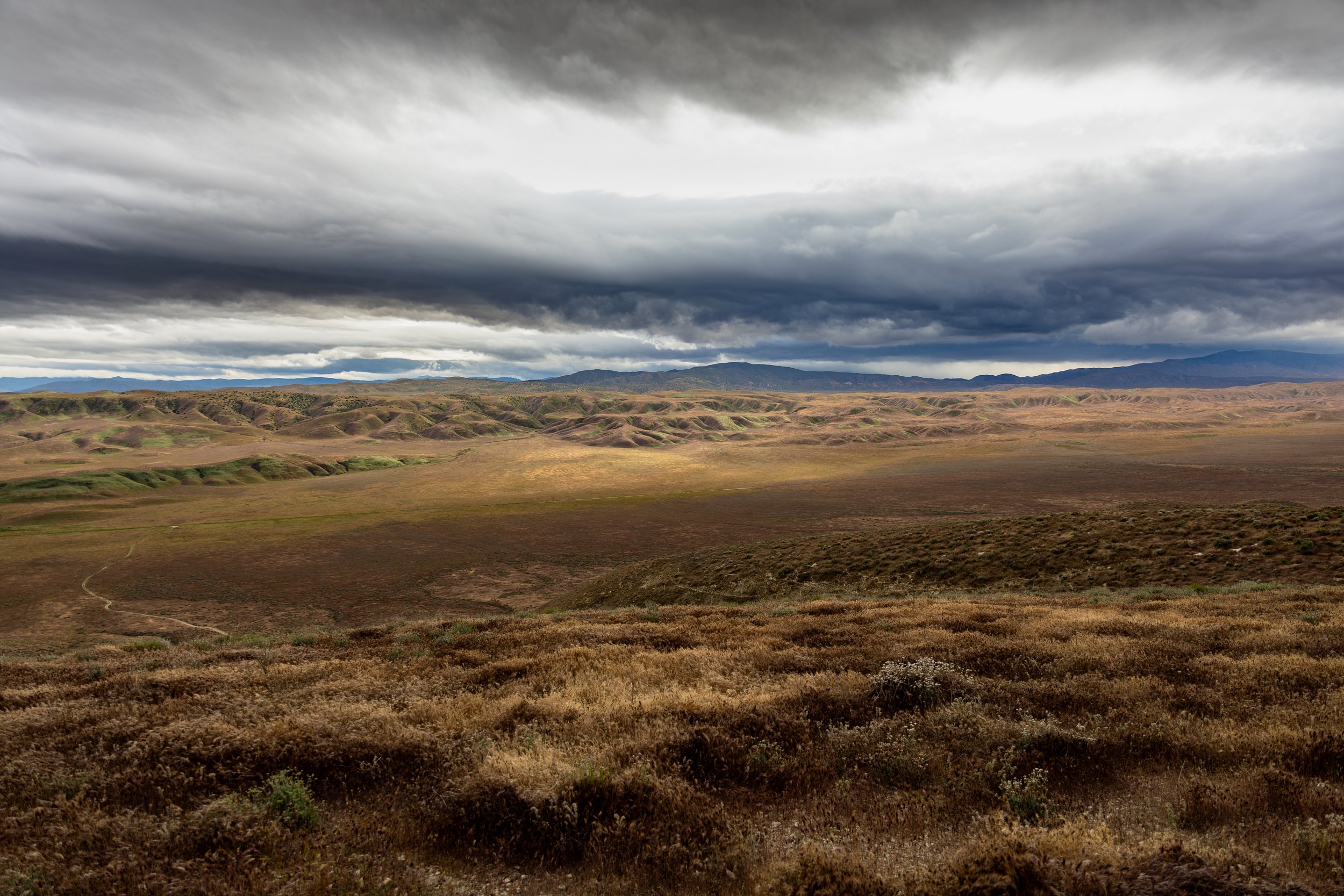 H67A2093-Enhanced-NR.jpg