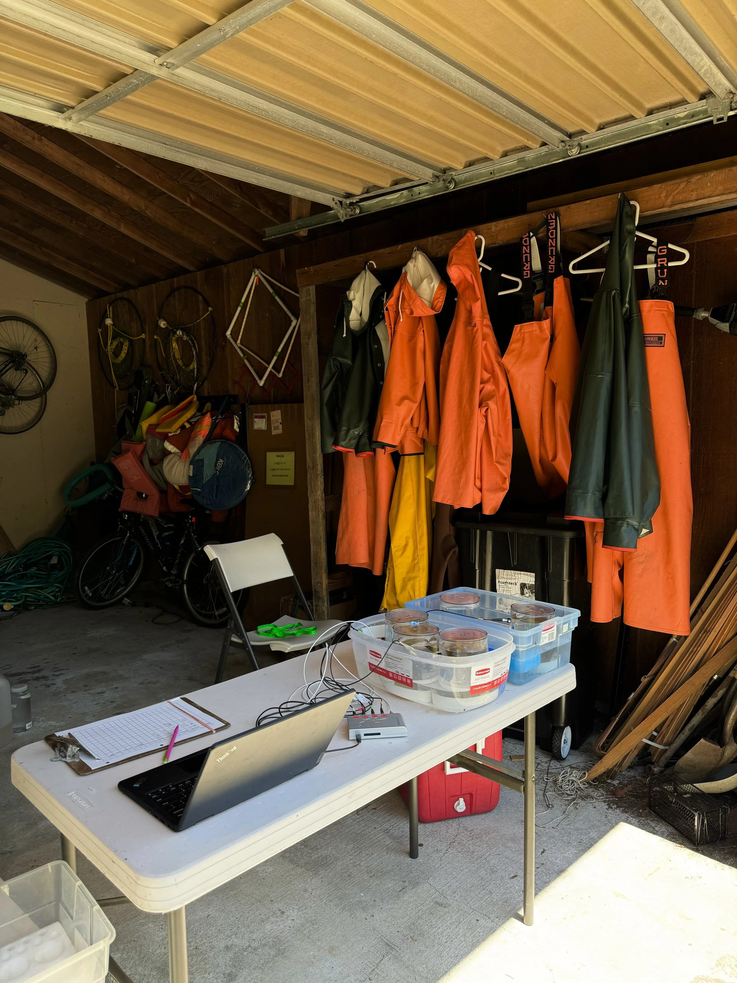 Track Highlight: Ecology &amp; Evolution