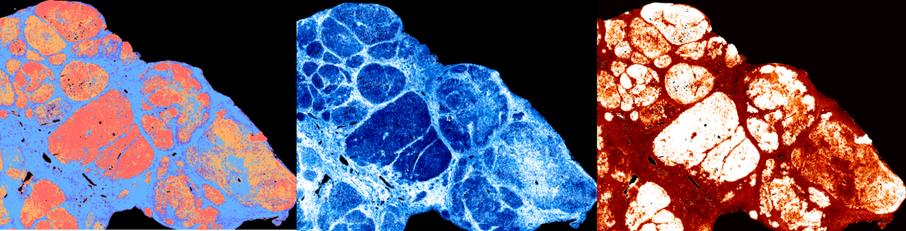 Follow Up: Biomedical Imaging Sequence