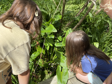 City Nature Challenge!