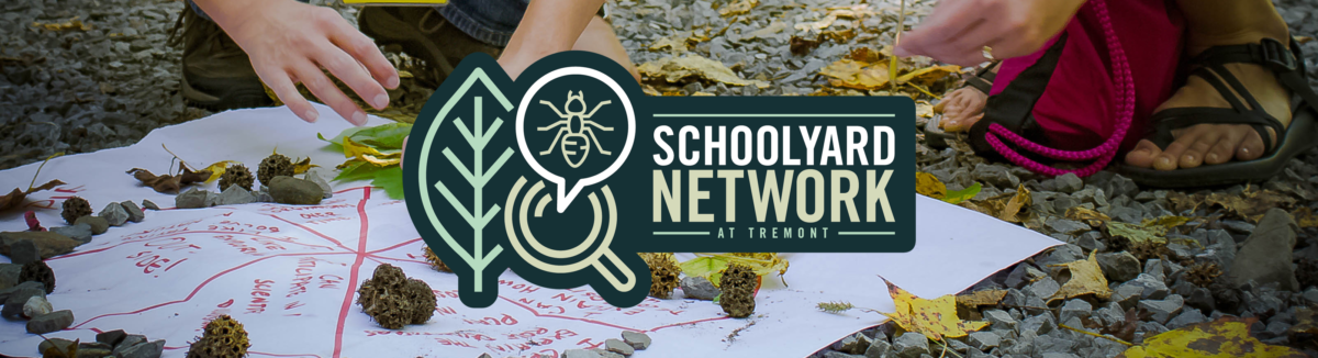 Schoolyard Network Professional Development