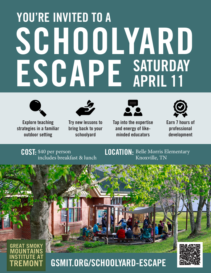 Schoolyard Escape Professional Development