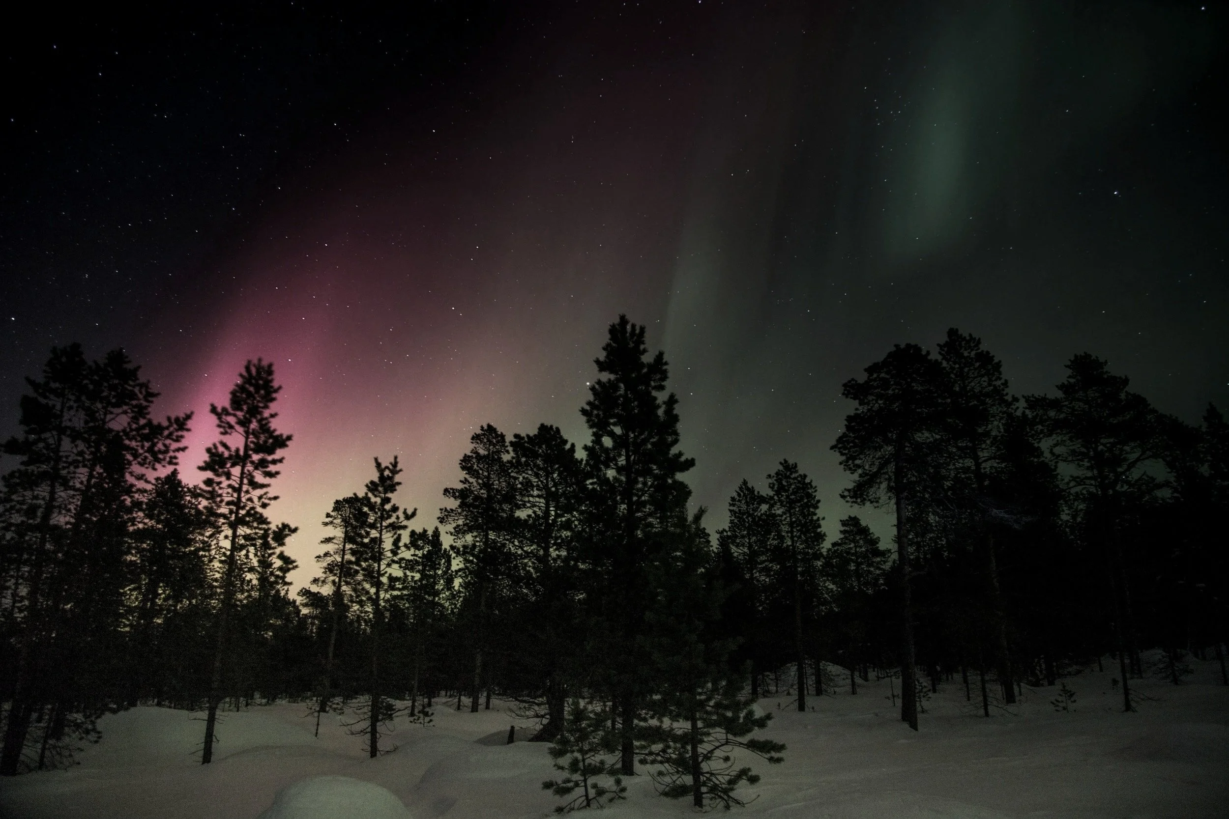 Norsk Polarinstitutt, Tromsø, Norway, September 22nd, 2124
Clarion West, Flash Fiction Competition, 2nd Place
December 2025