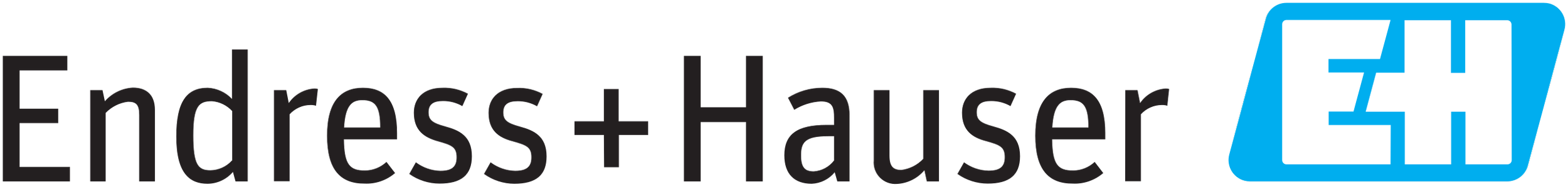 Endress+Hauser_logo.svg.png
