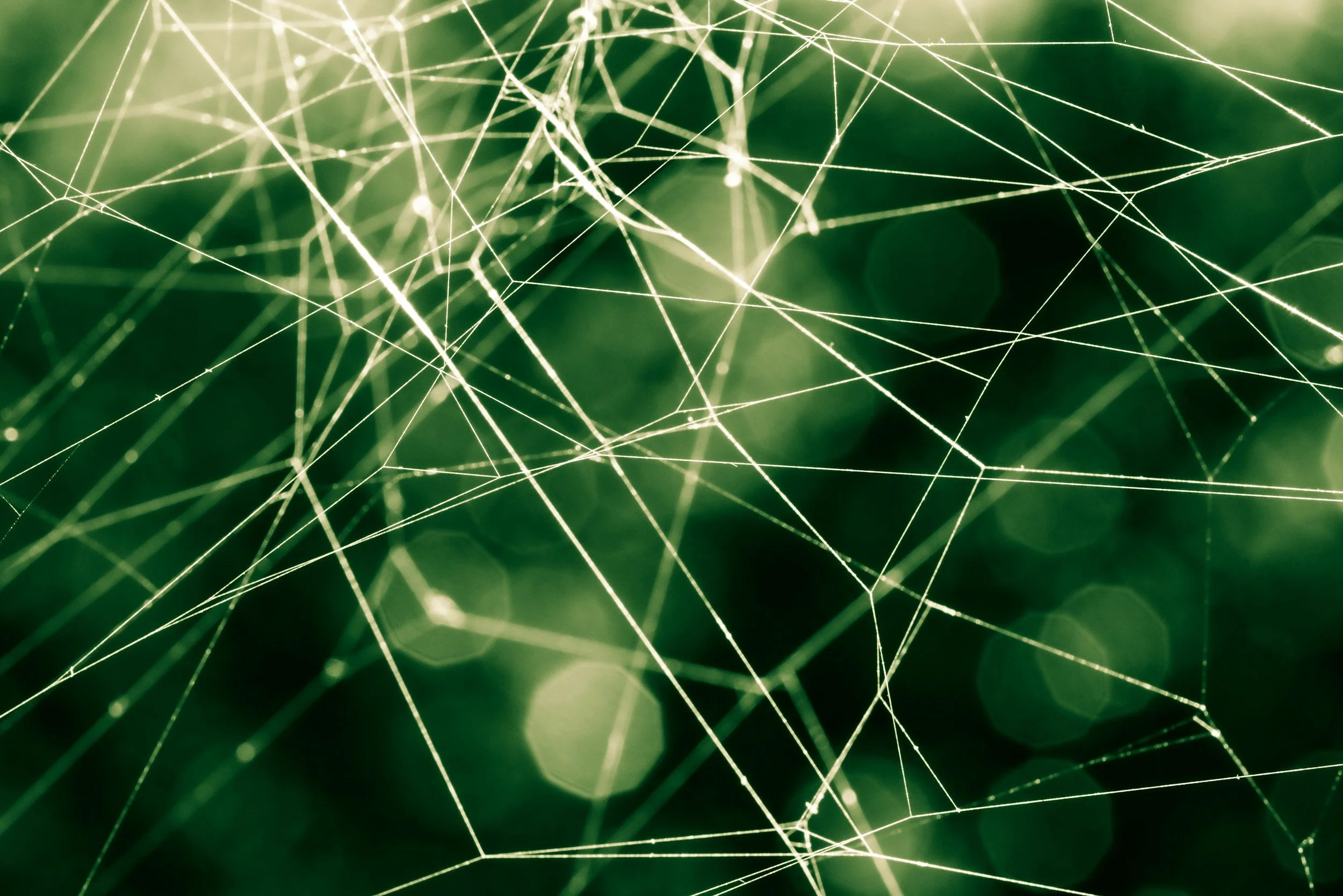 Systemic and Mindful: An Integrative Process of Homeopathy and Psychotherapy for Self-Fulfillment
