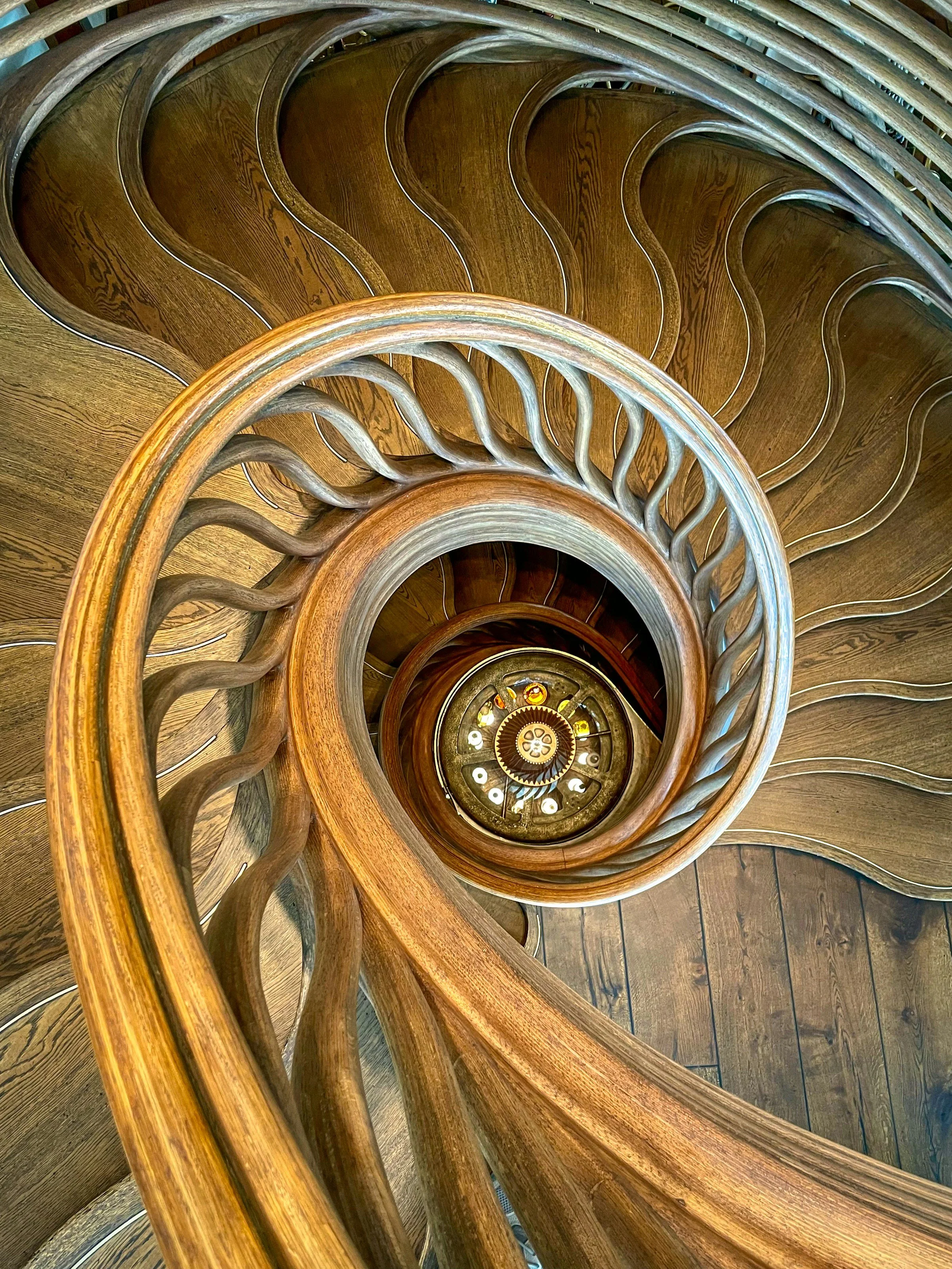 The Homeotherapeutic Spiral: Life as Dynamic Emergence in the Age of AI 