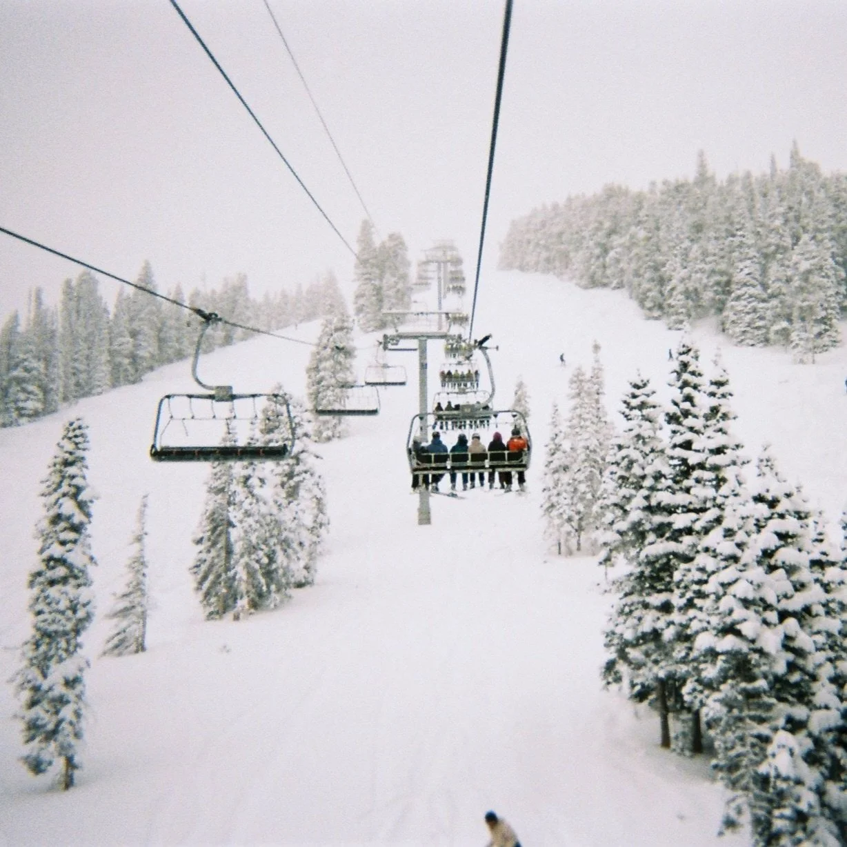 boulder’s newest resident