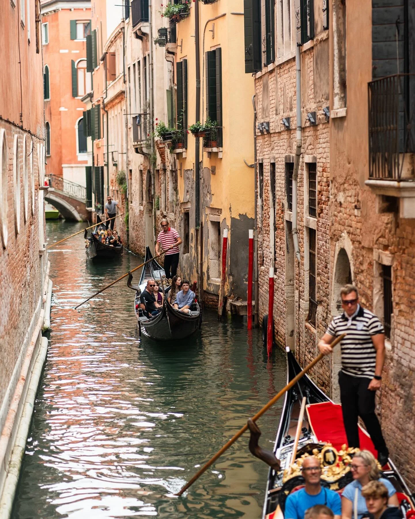 Italy part 3: Venice

A week after first landing in Italy, I made it to Venice. This marked the end of my solo excursions and the beginning of phase two of my trip. Soon I&rsquo;d be heading to the Dolomites on a guided trek but first, I connected in