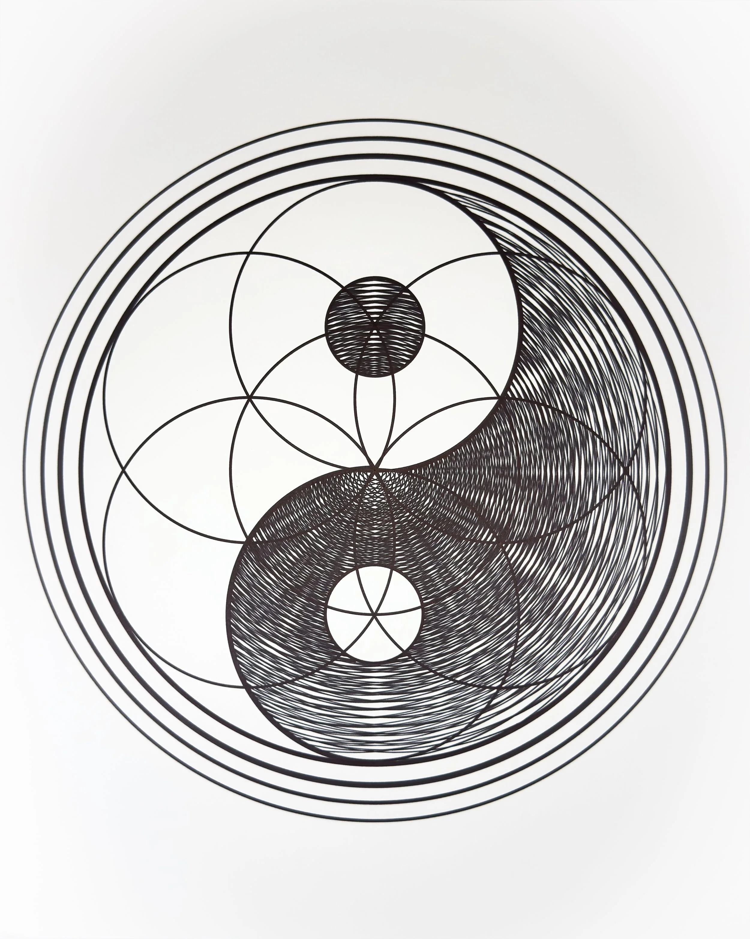 1 The Unified Divide_CIRCLES_Tyler Hanzel_-13.jpg