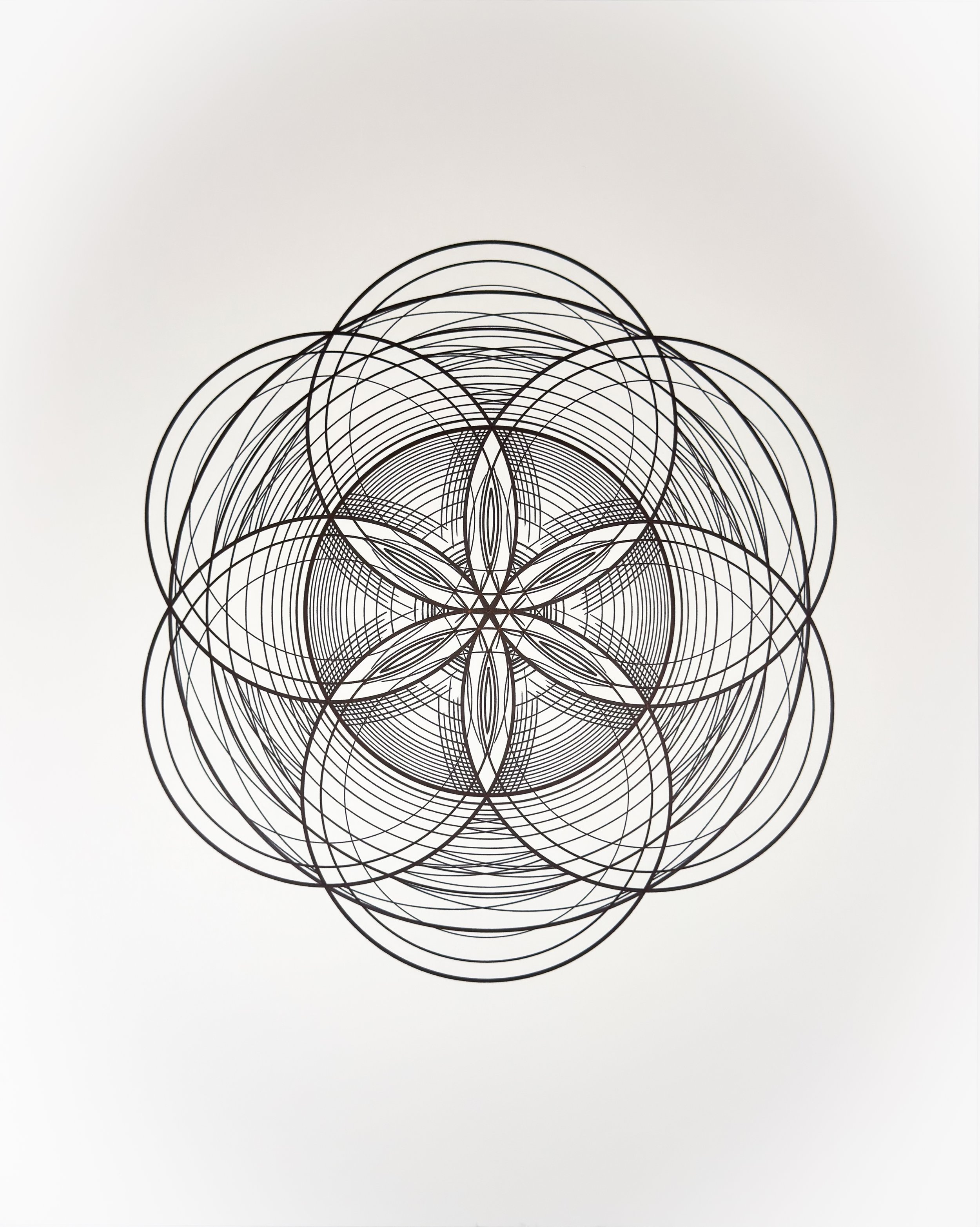 1 Sacred Seed of Life III_CIRCLES_Tyler Hanzel_-04.jpg
