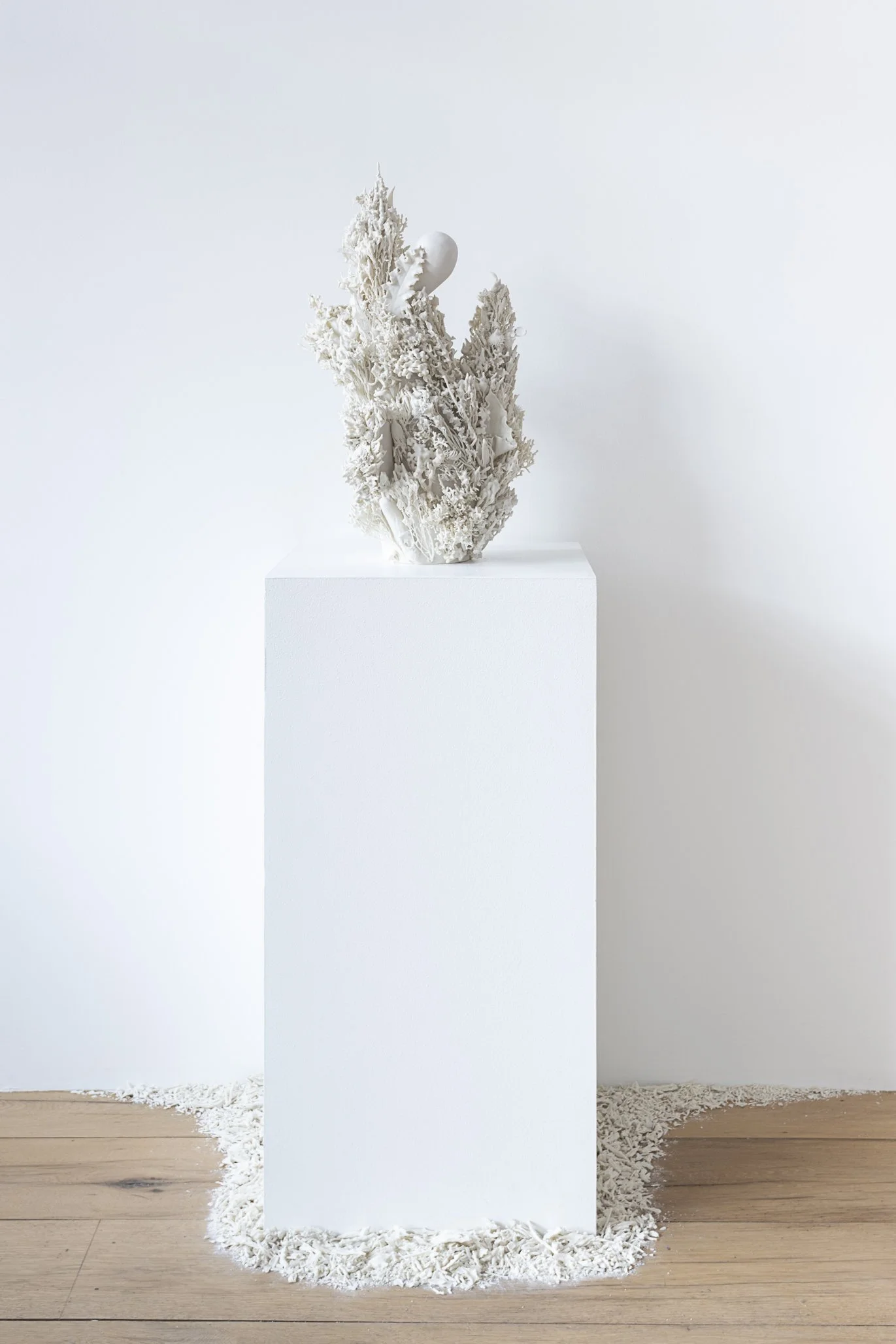 Aspen Collective 1.22.25 Low res-11.jpg