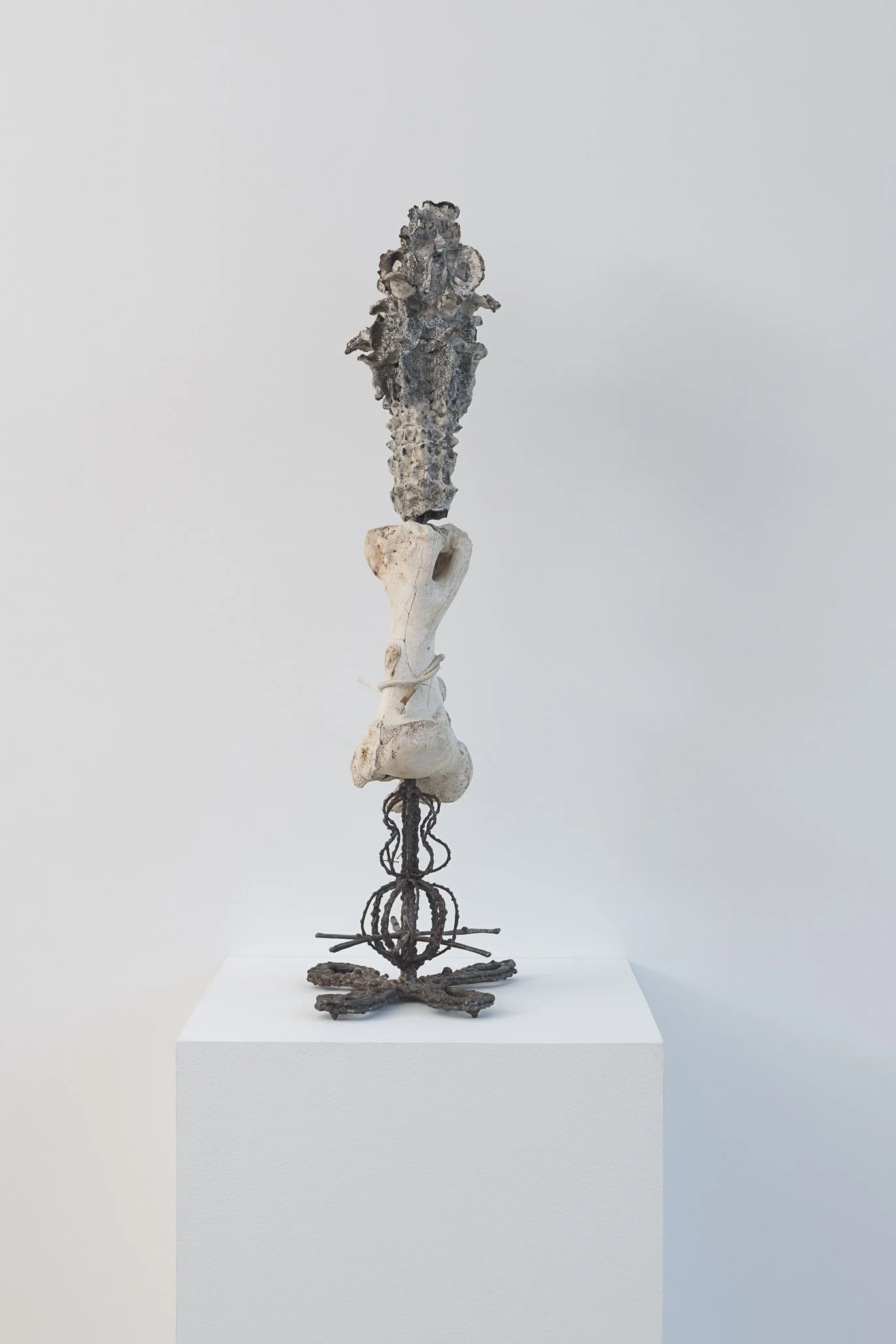 Aspen Collective-2 12.15.25 Low res-8.jpg