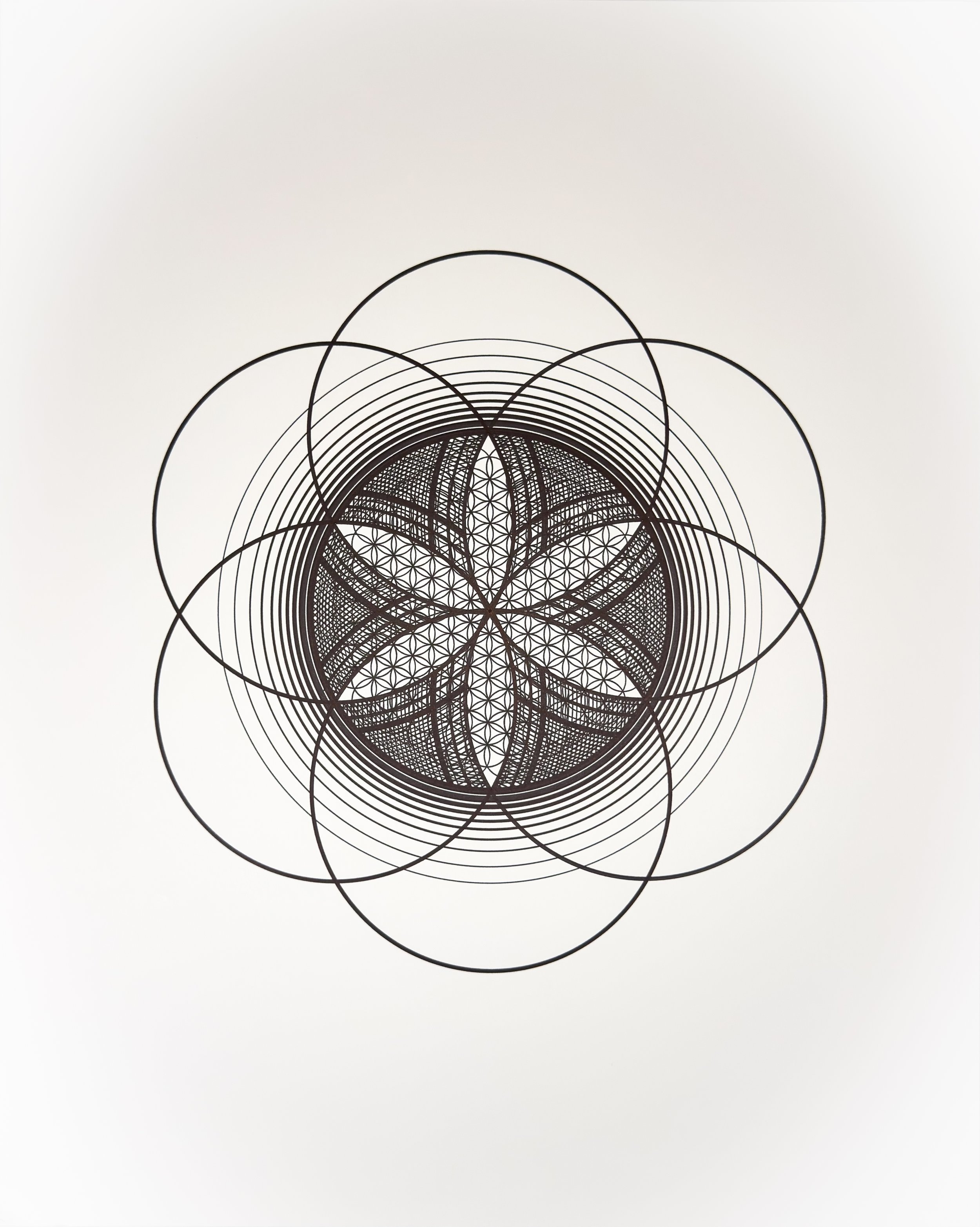 1 Sacred Seed of Life I_CIRCLES_Tyler Hanzel_-41.jpg