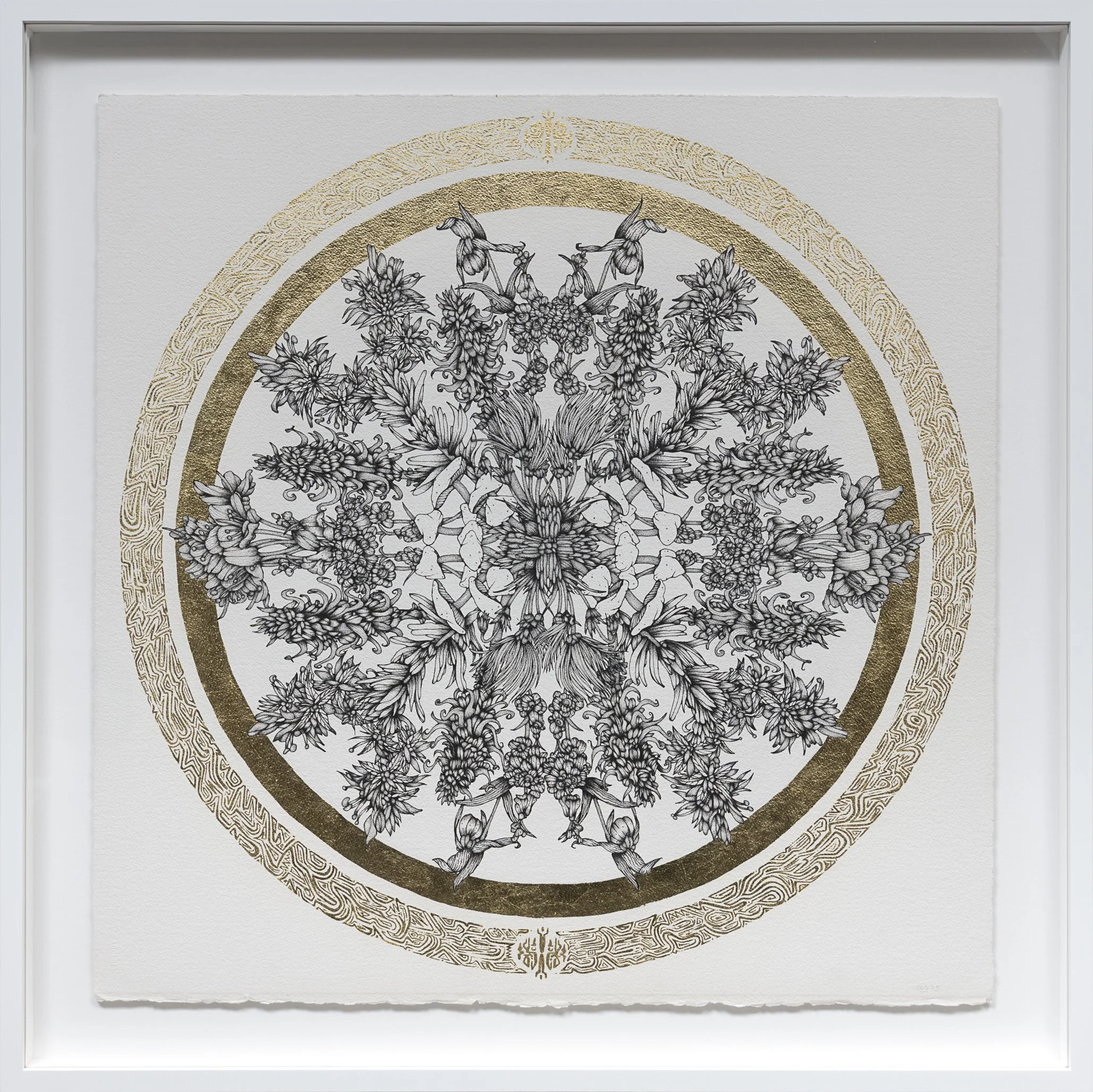Floral Vortex Five