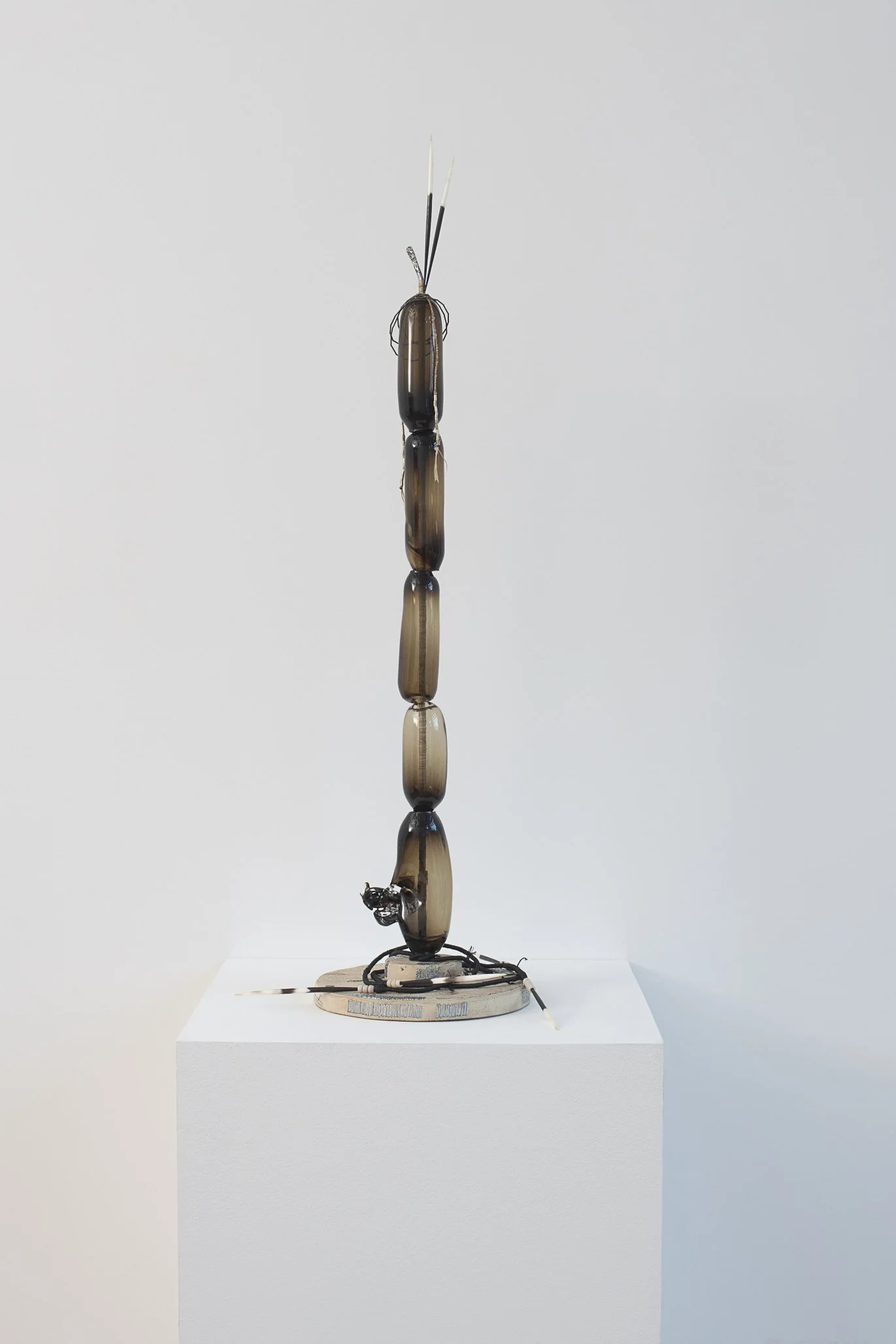 Aspen Collective-2 12.15.25 Low res.jpg
