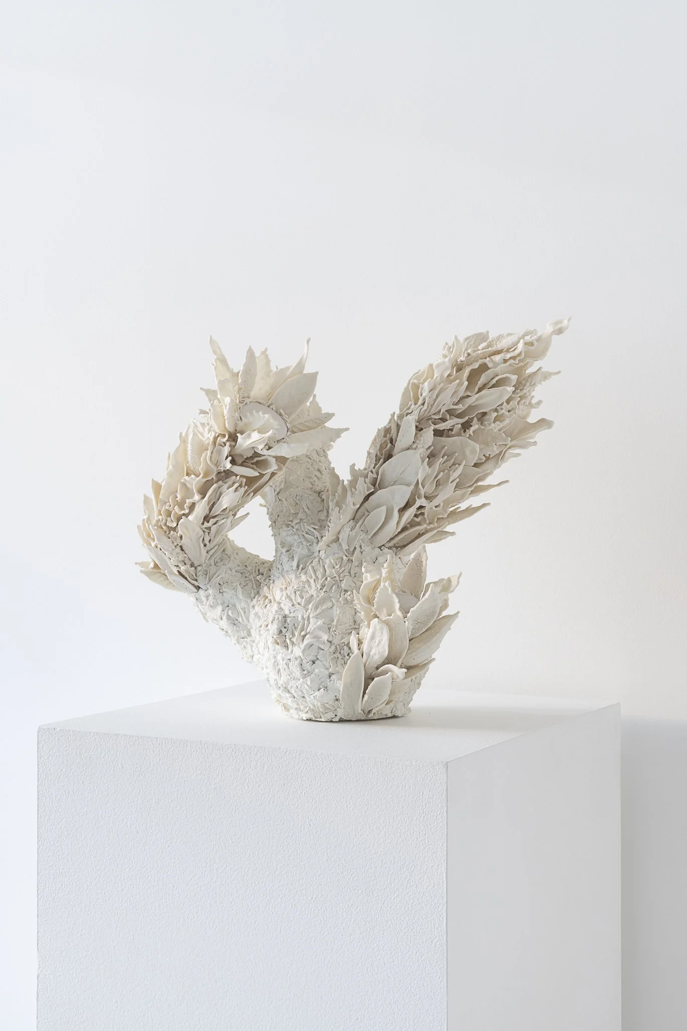 Aspen Collective 1.22.25 Low res-17.jpg