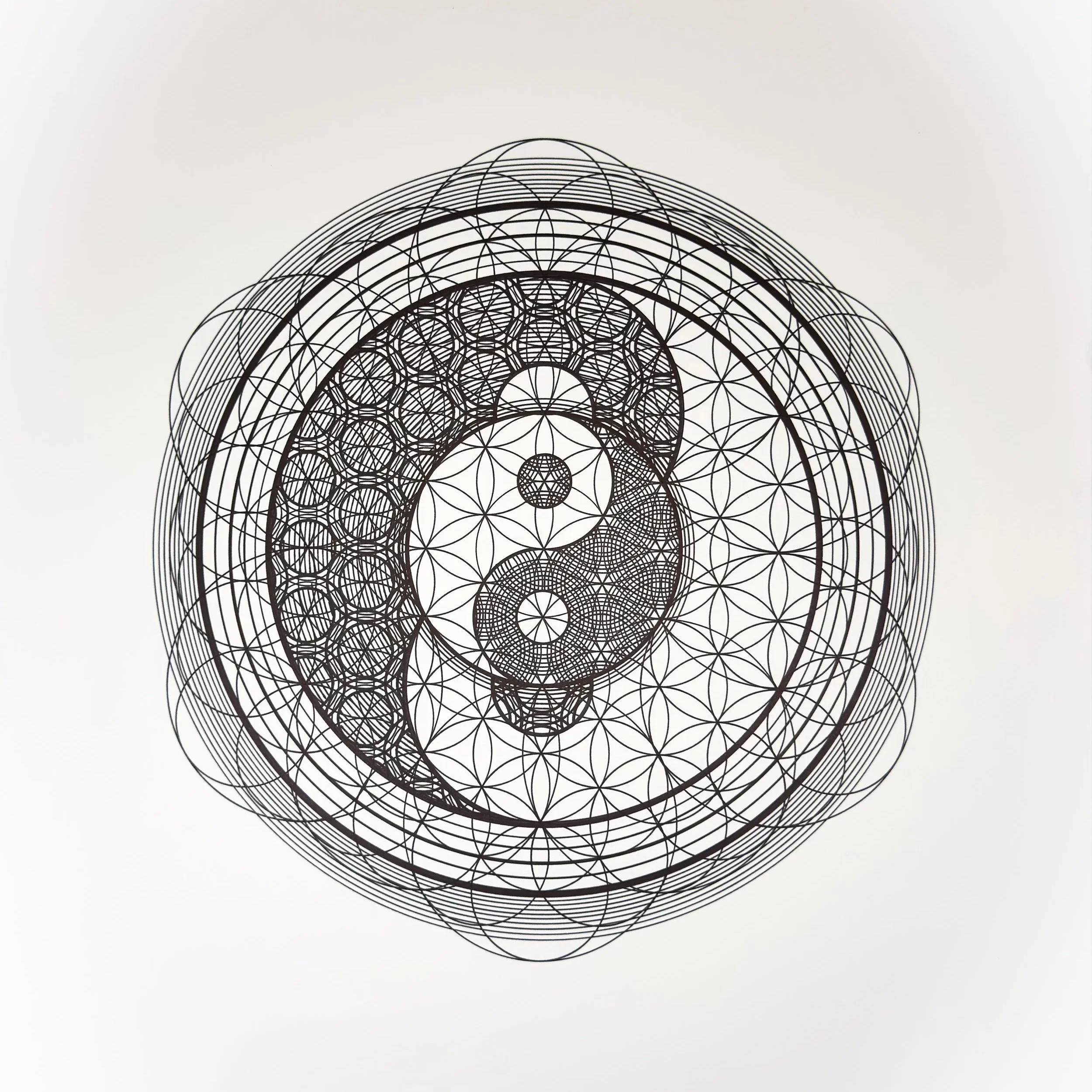 CIRCLES_Tyler+Hanzel_-40.jpg