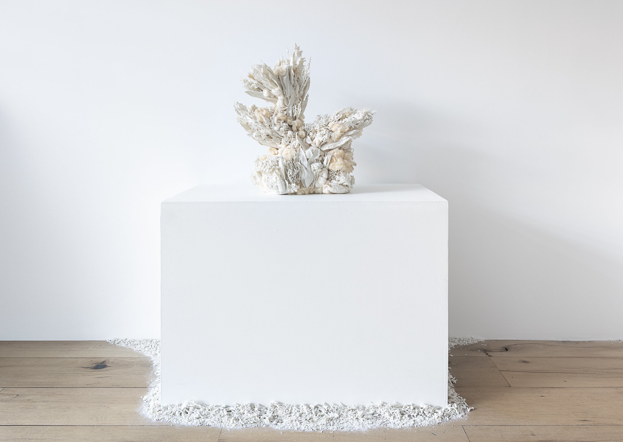 Aspen Collective 1.22.25 Low res-14.jpg