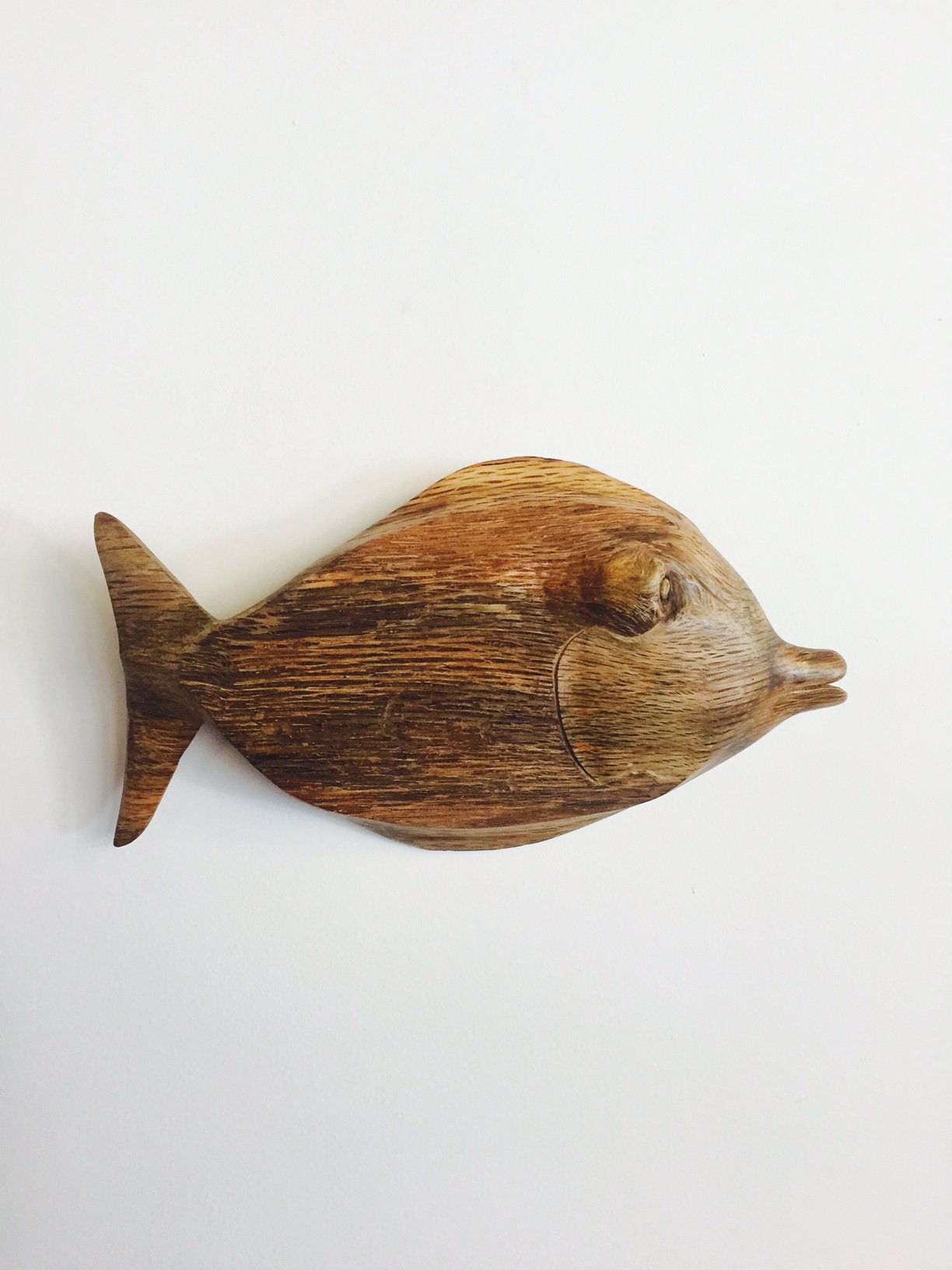 Kissing Fish by Larry Lefner