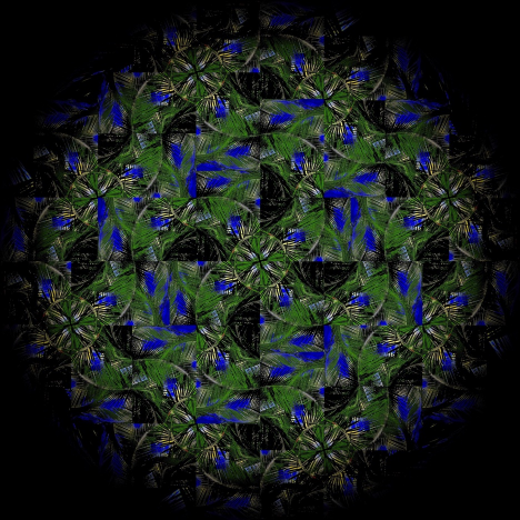 Costa Rica – Cahuita Palms