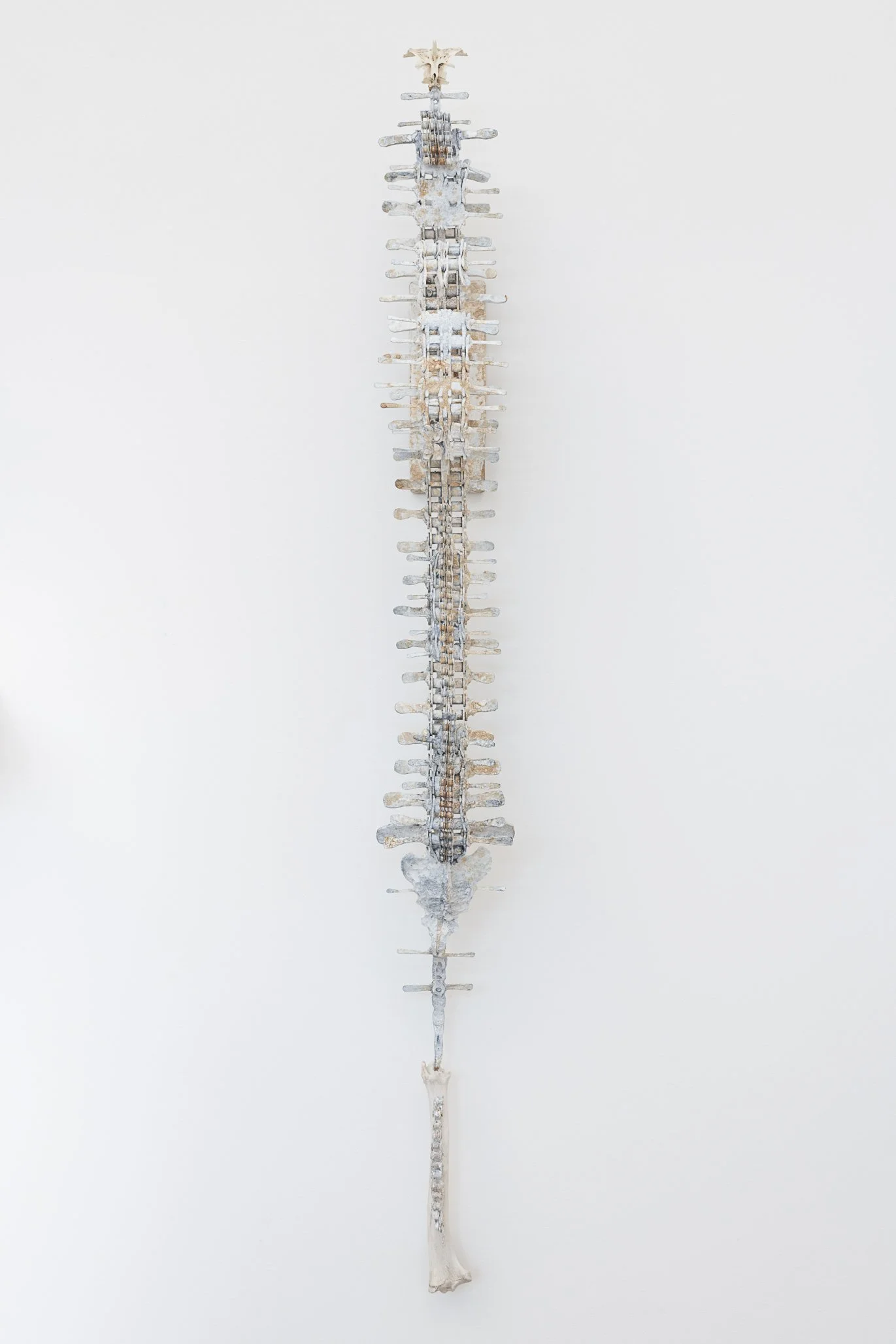 Aspen Collective-2 12.15.25 Low res-21.jpg
