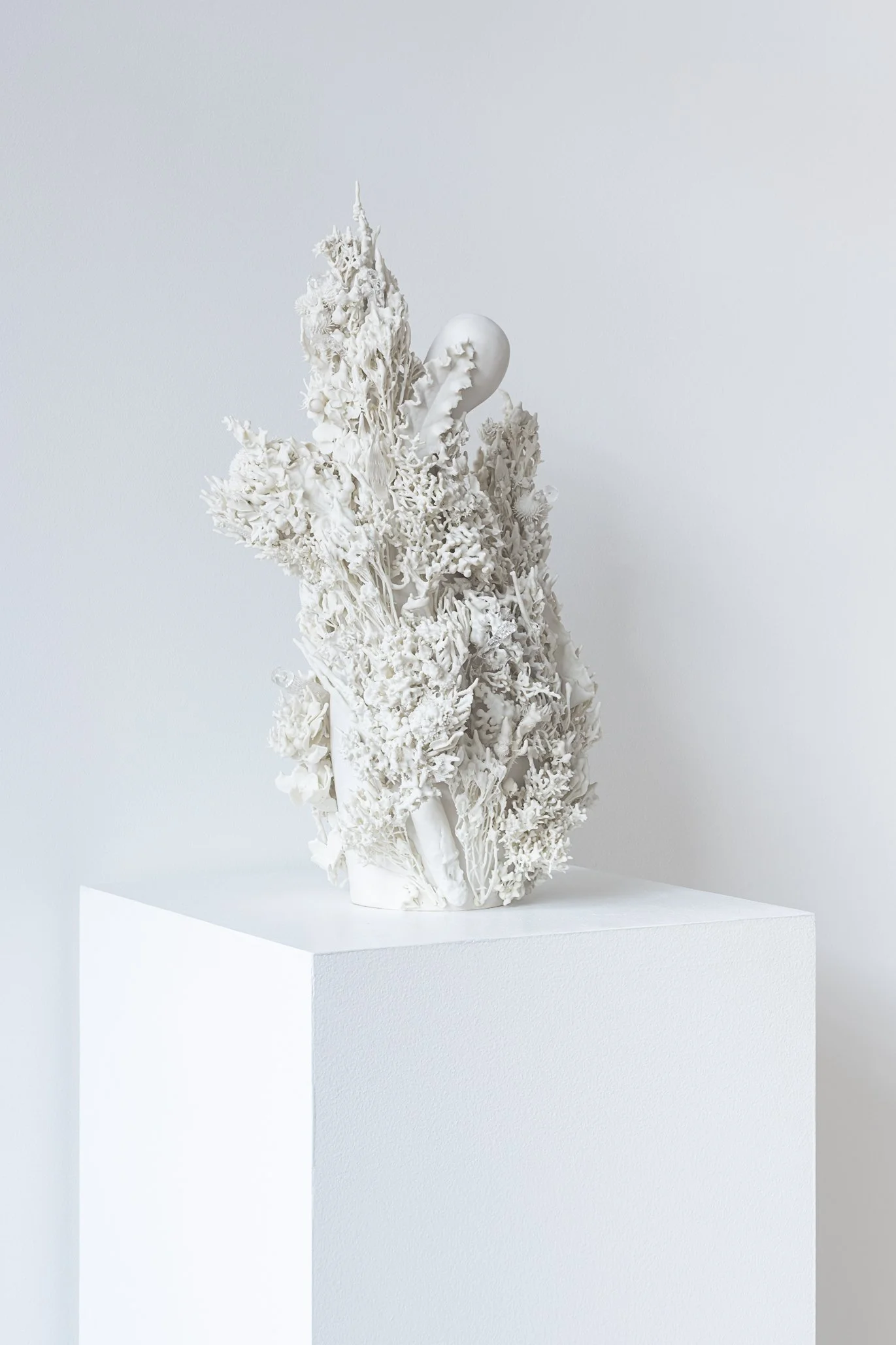 Aspen Collective 1.22.25 Low res-9.jpg