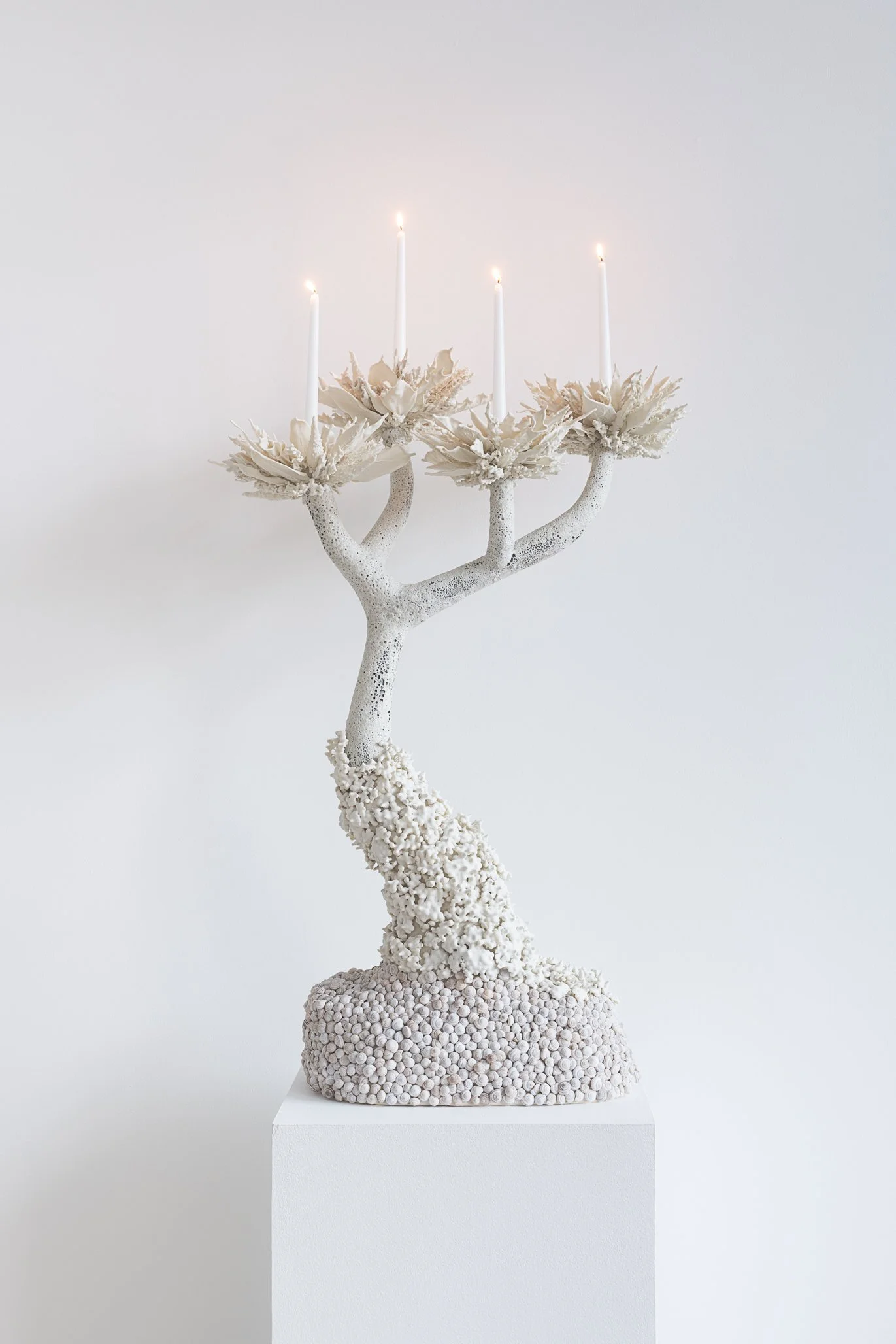 Aspen Collective 1.22.25 Low res-6.jpg