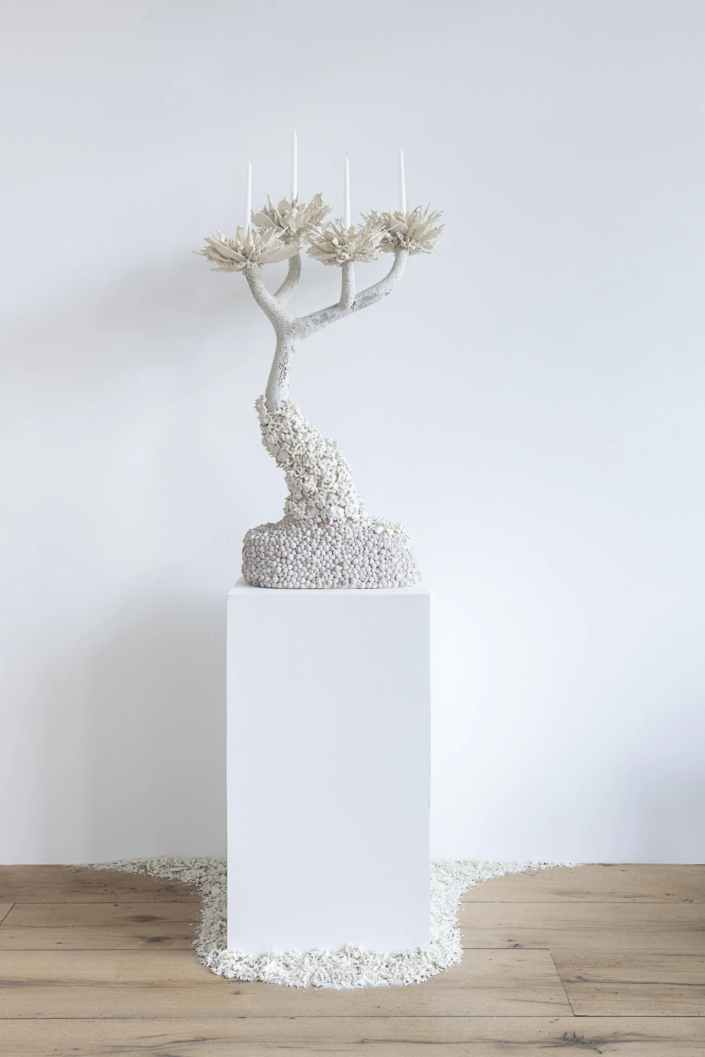 Aspen Collective 1.22.25 Low res-4.jpg