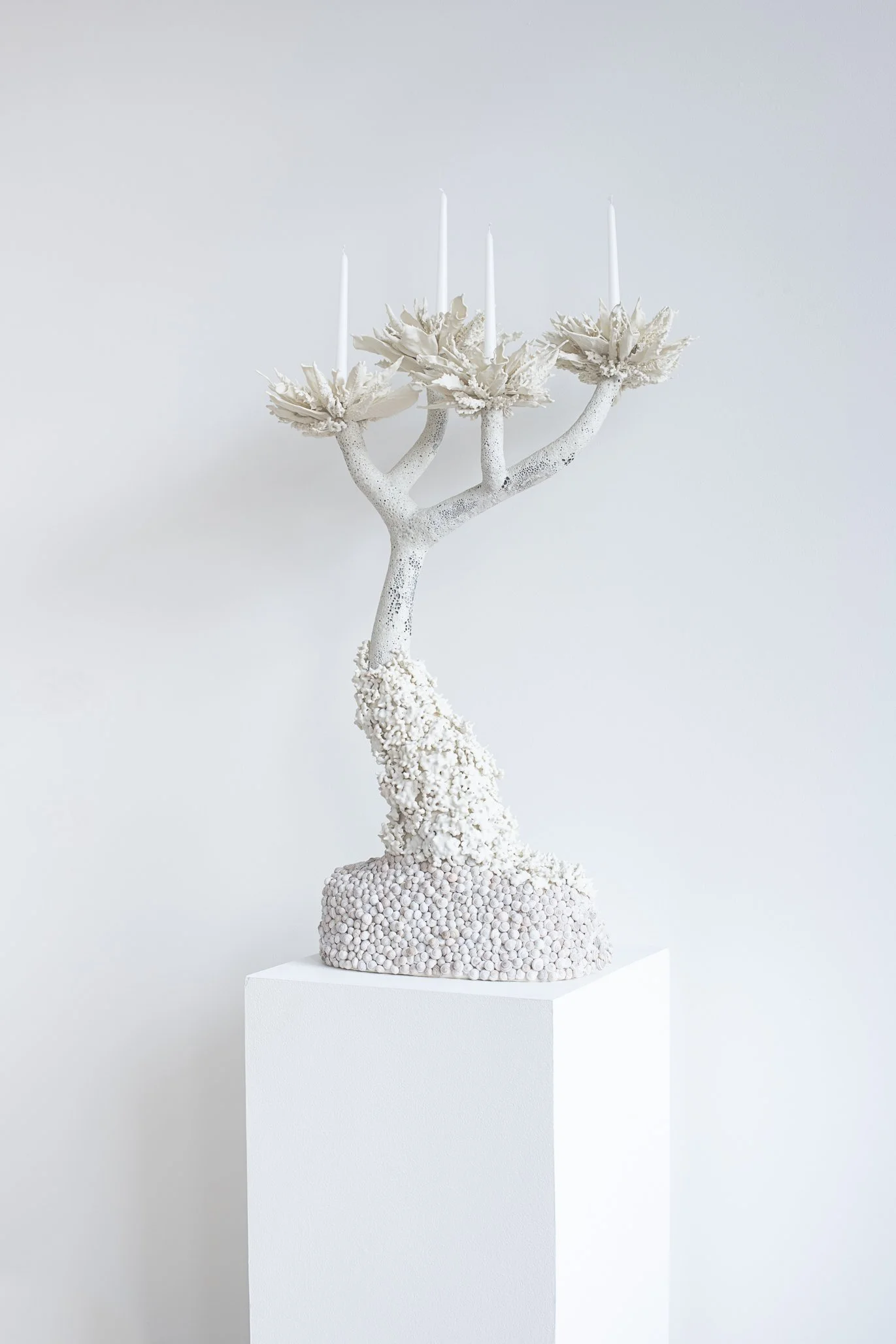 Aspen Collective 1.22.25 Low res-3.jpg