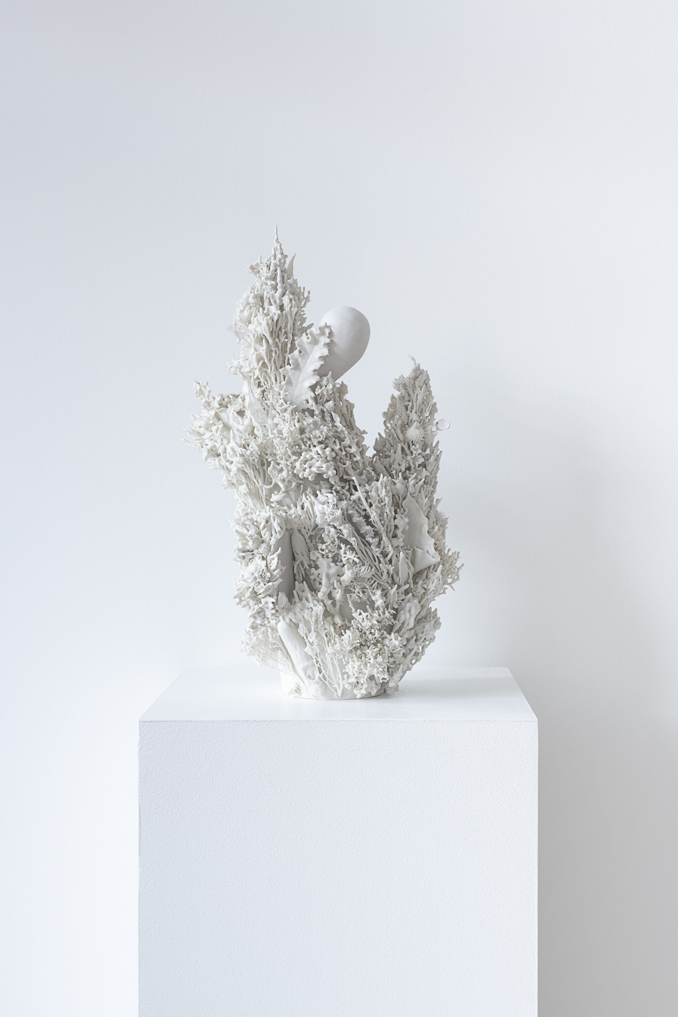 Aspen Collective 1.22.25 Low res-8.jpg