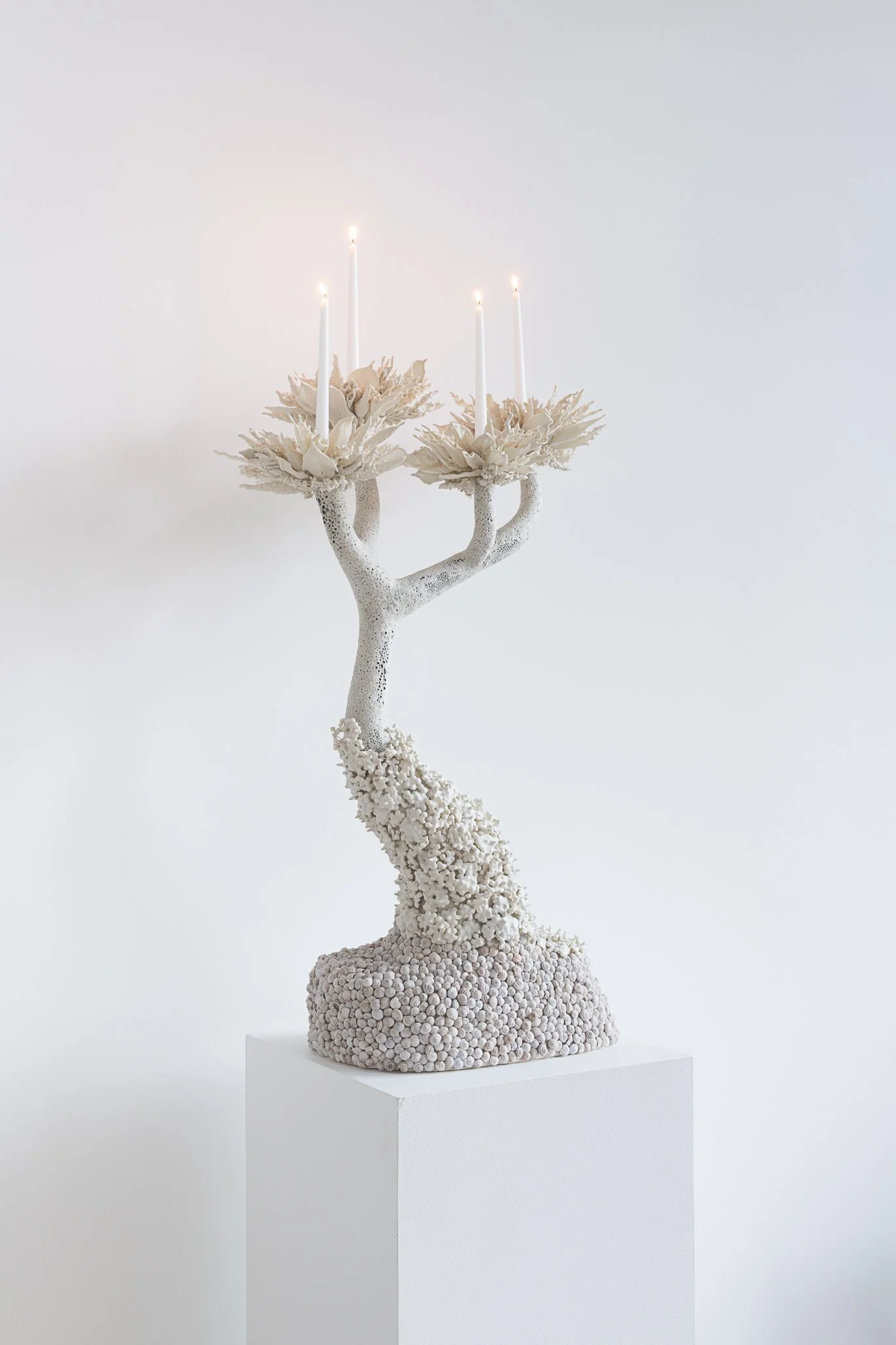 Aspen Collective 1.22.25 Low res-7.jpg