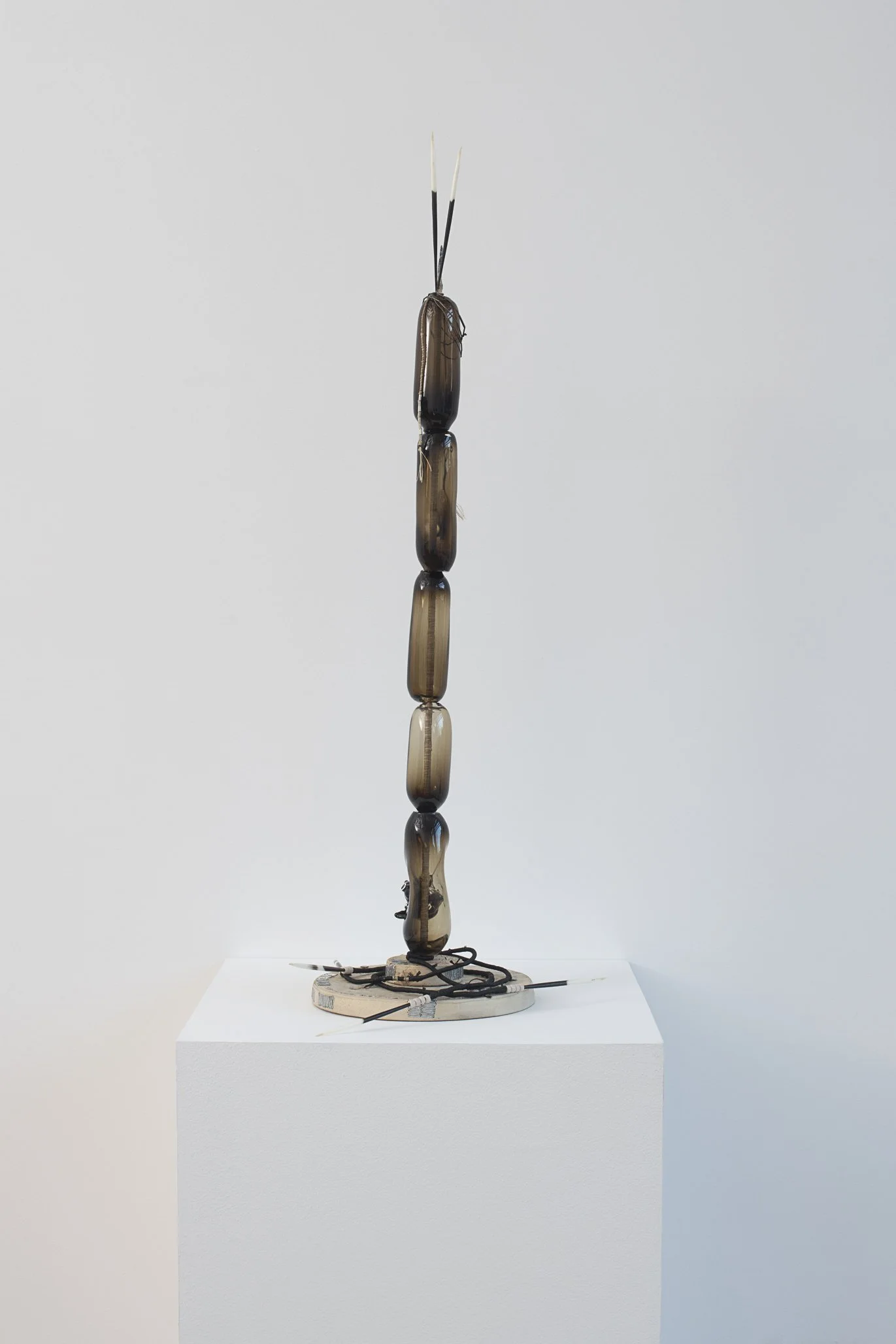 Aspen Collective-2 12.15.25 Low res-2.jpg