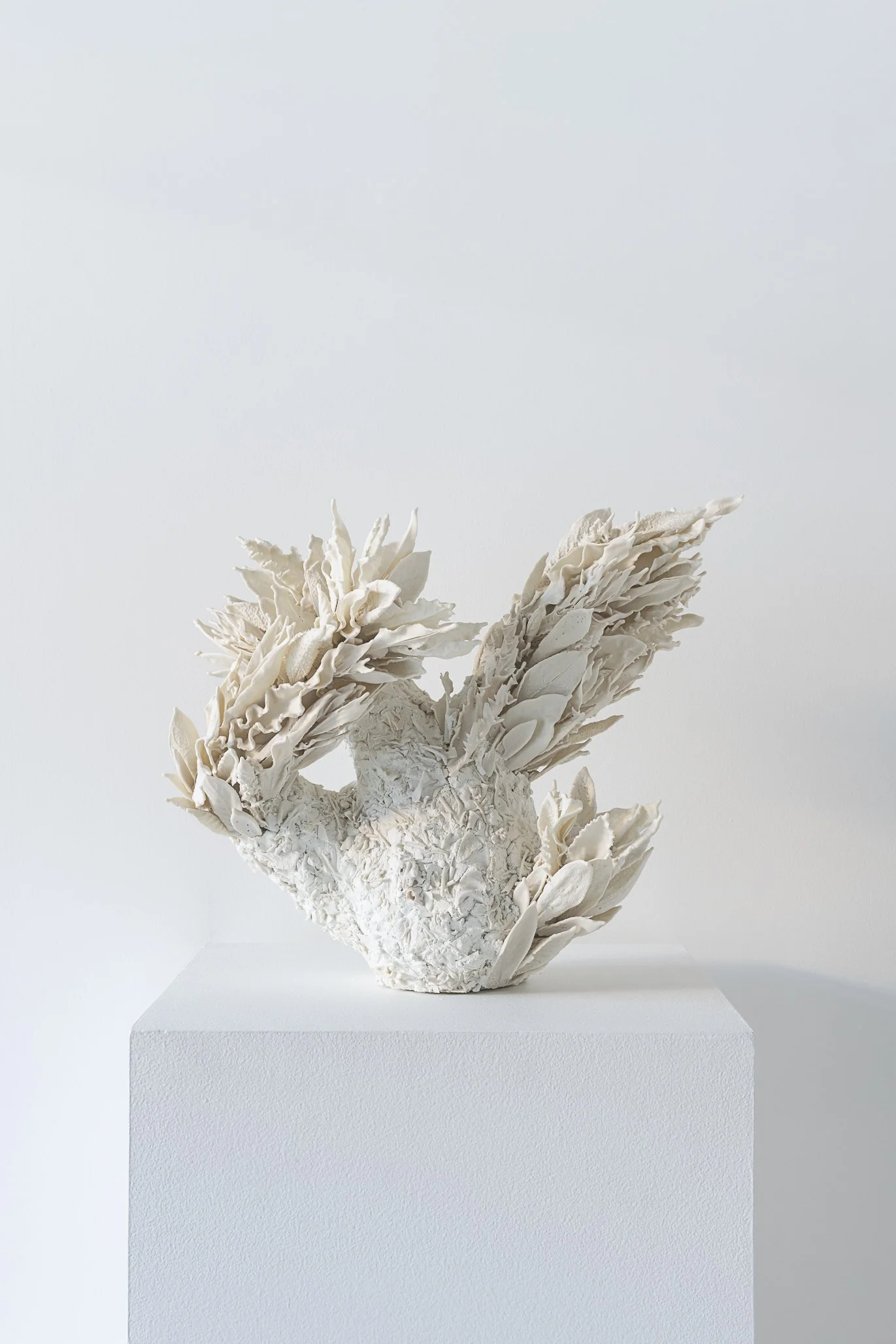 Aspen Collective 1.22.25 Low res-16.jpg