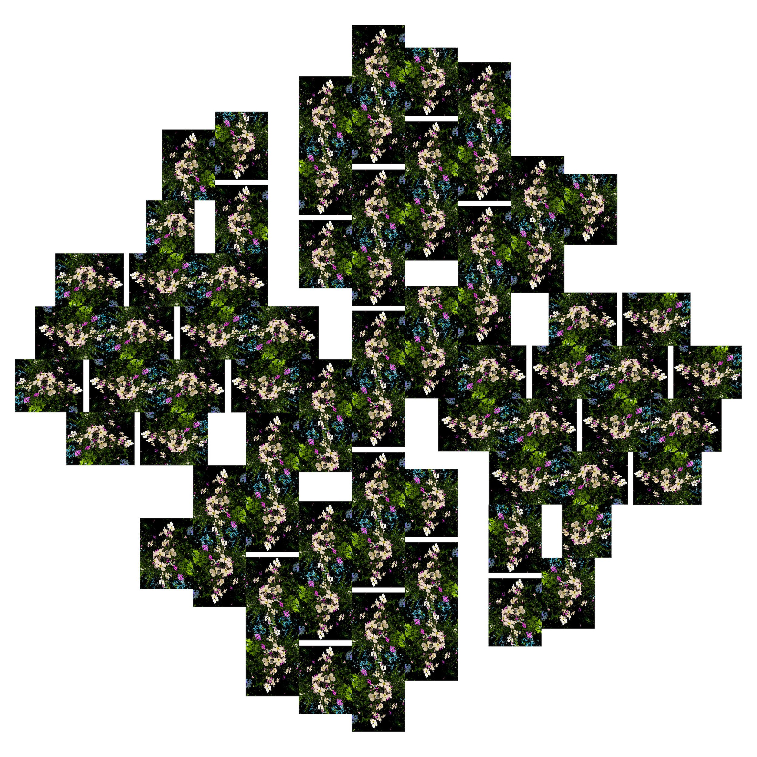 WILDFLOWERS #8 - s.jpeg