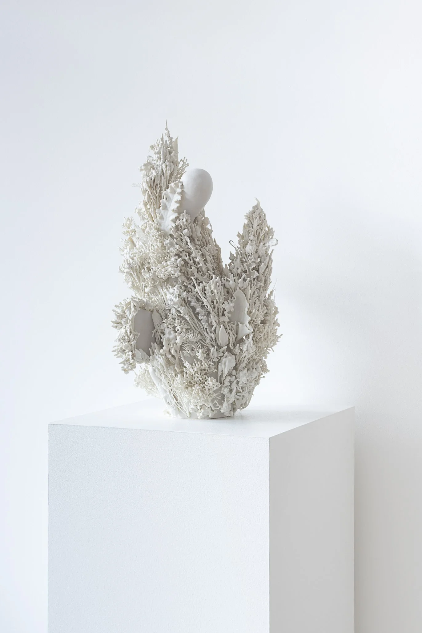 Aspen Collective 1.22.25 Low res-10.jpg