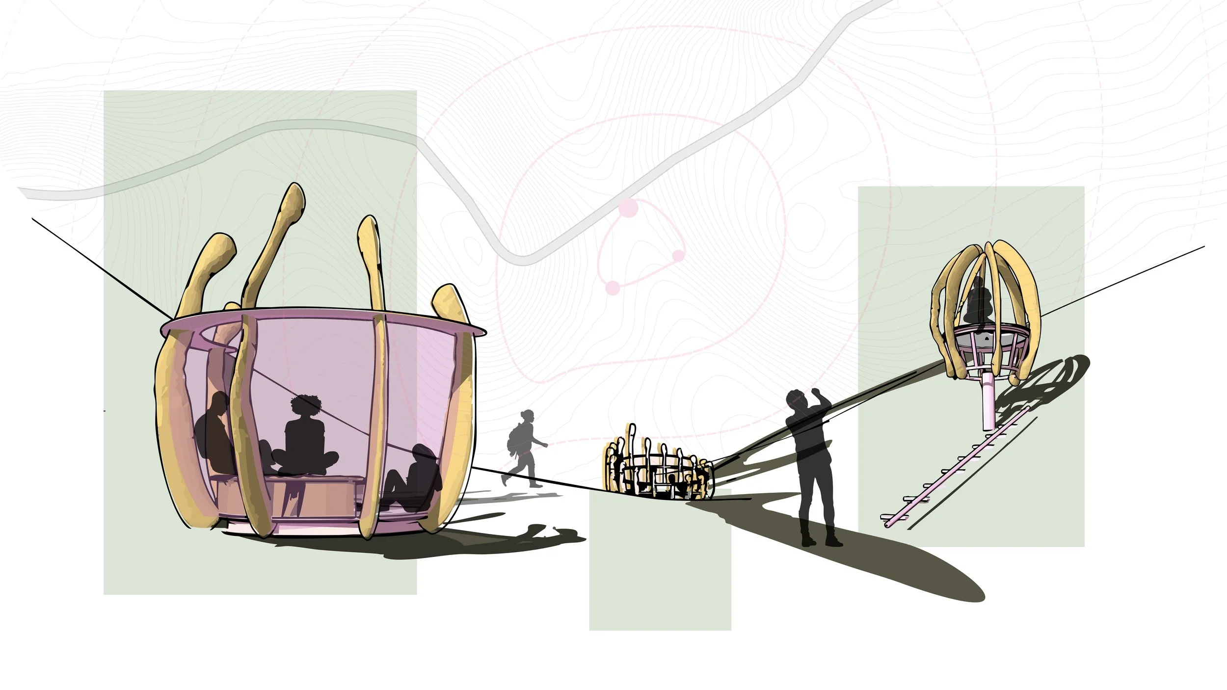 Sycamore Gap - Stories of 1000 Trees