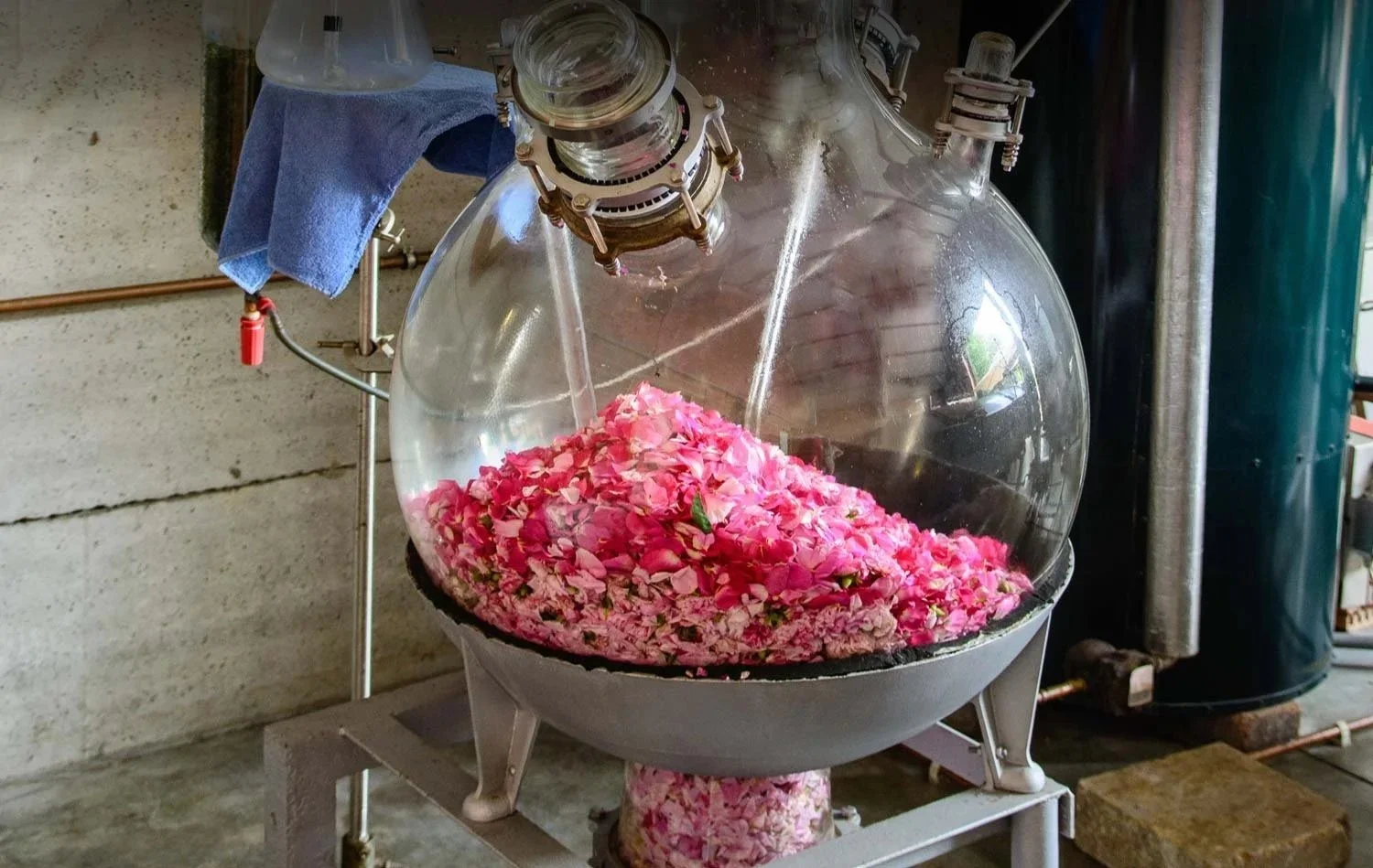 The Art of Taif Rose Distillation
