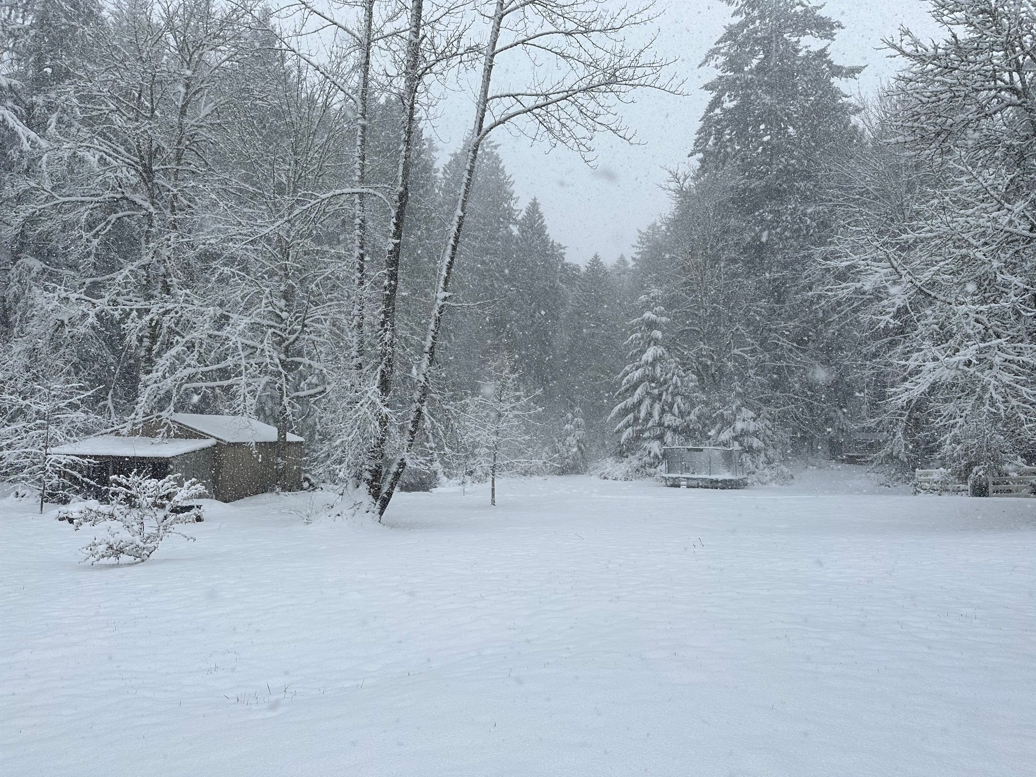 The Verdancy Project: Winter Retreat