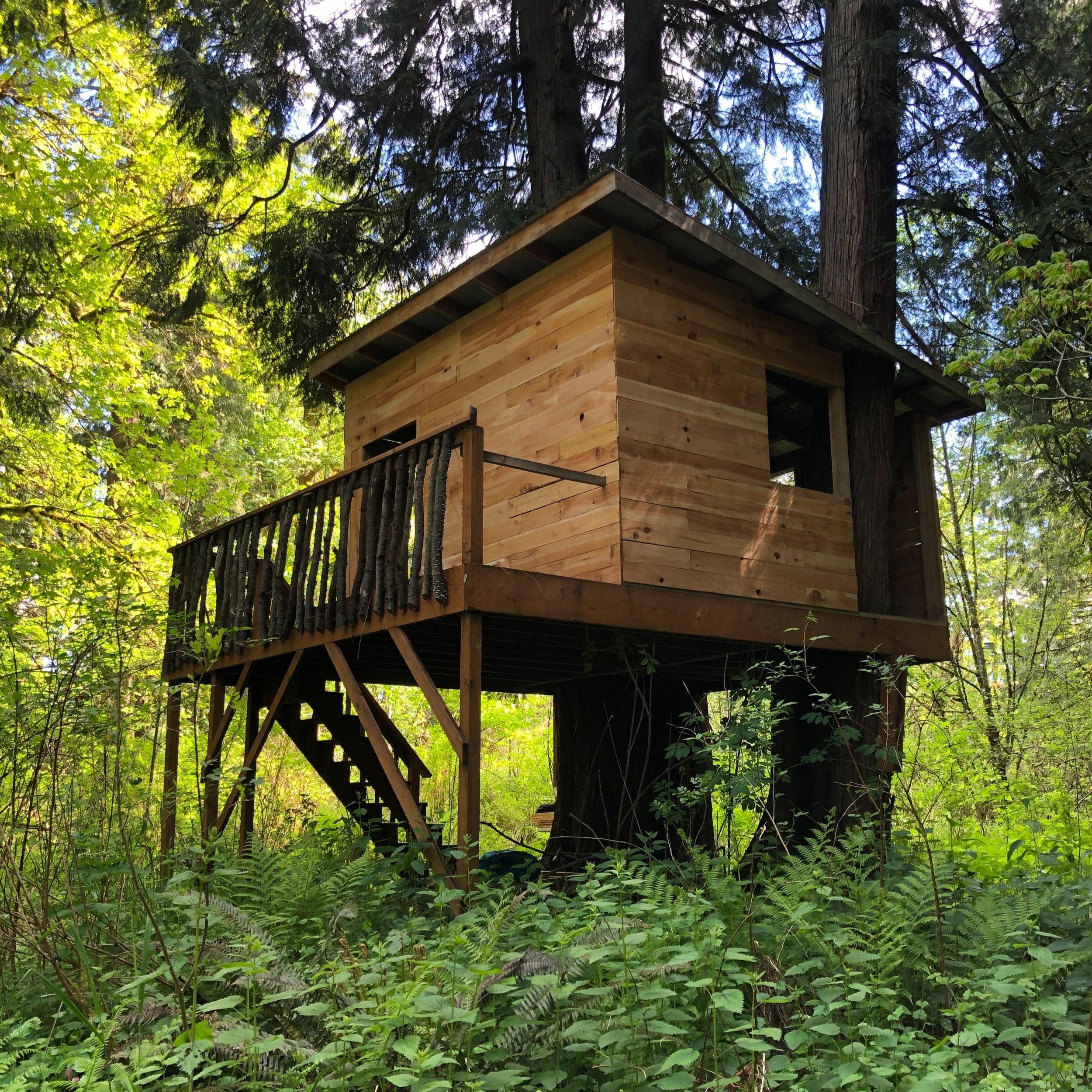 Verdancy+Treehouse.jpg